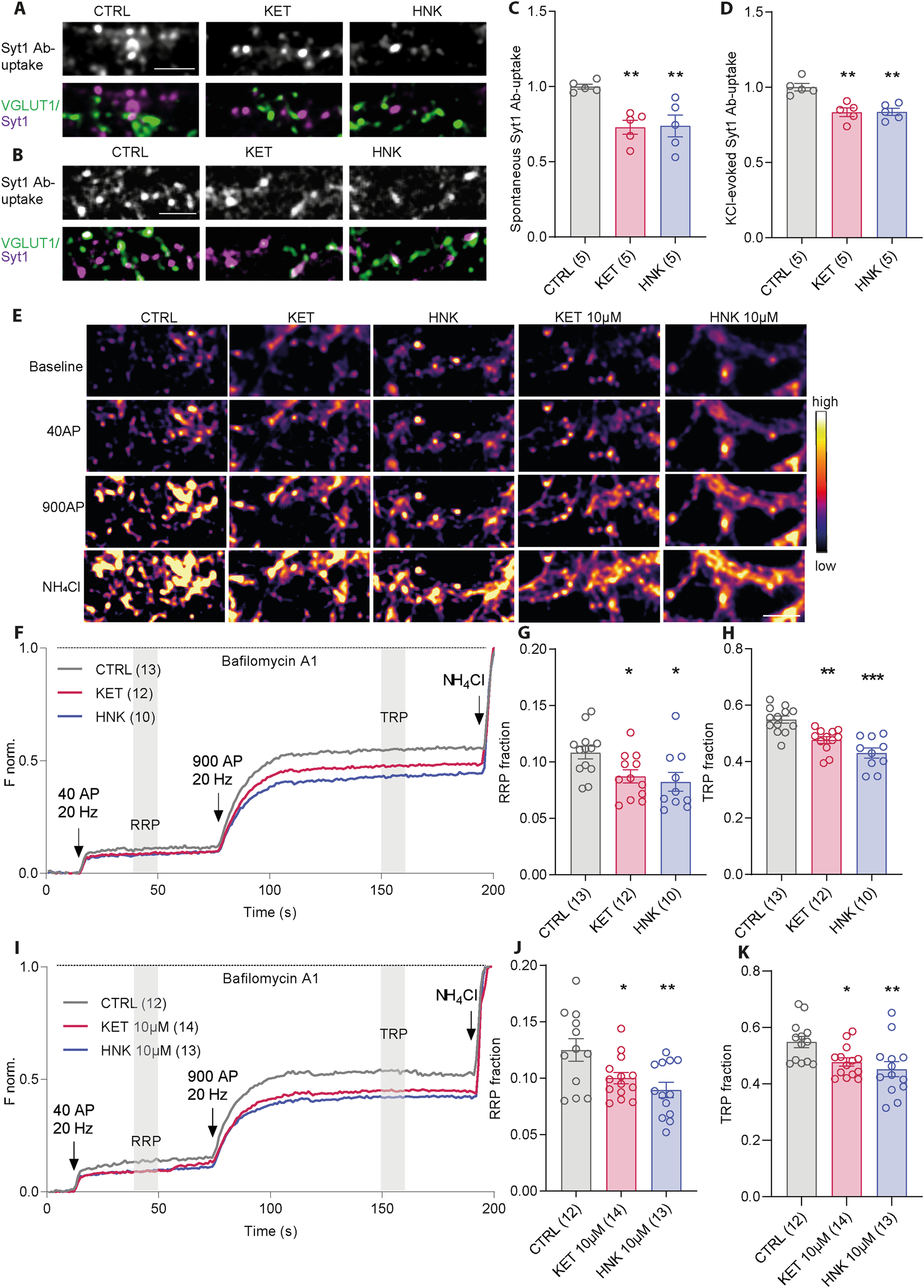hydroxynorketamine-but-not-ketamine-acts-via-7-nicotinic-acetylcholine-receptor-to-control-presynaptic-function-and-gene-expression-translational-psychiatry