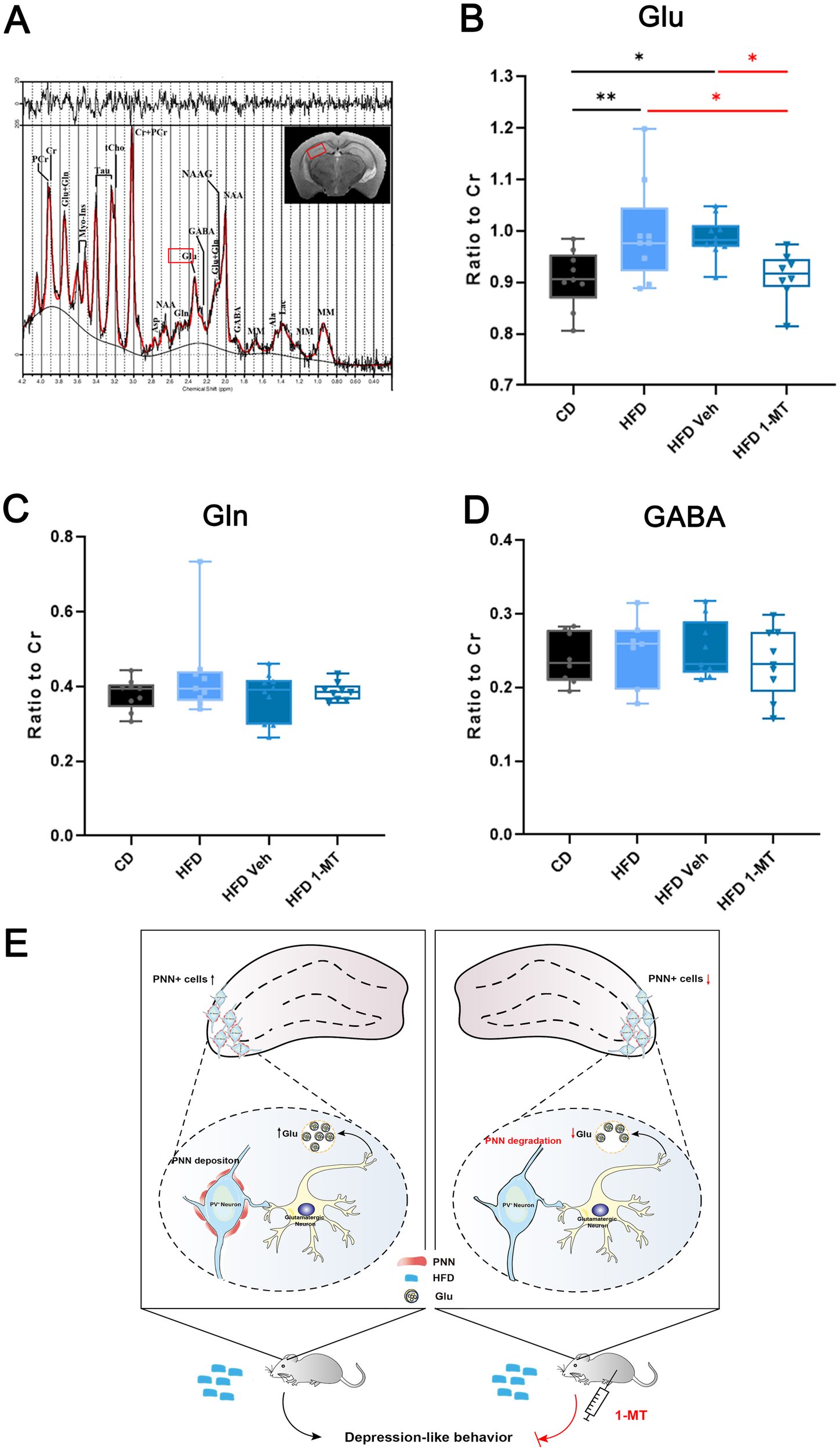 Fig. 4: Effects of HFD and 1-MT administration on brain metabolites in the hippocampus.