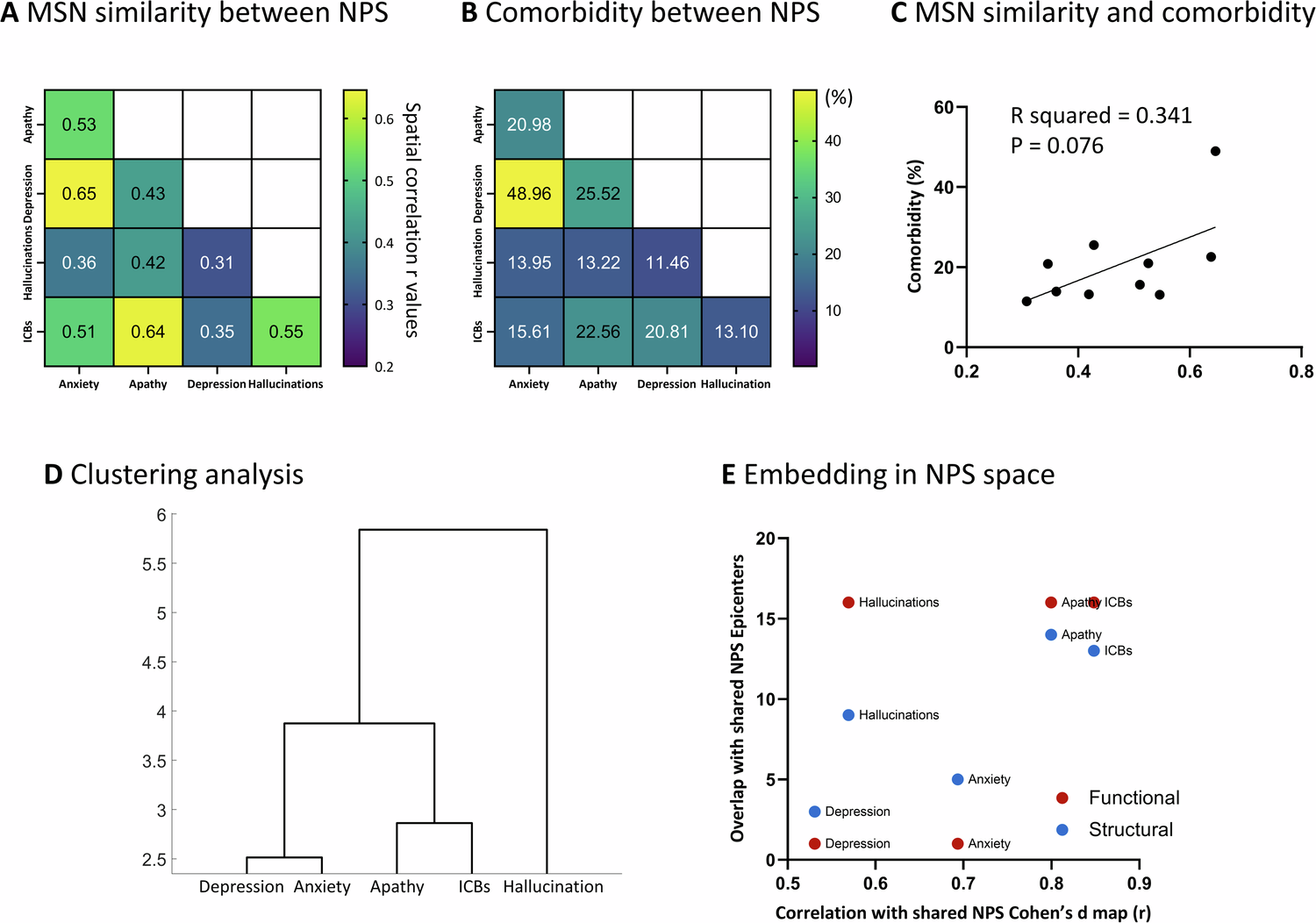 Fig. 4: Embedding of individual symptoms within a NPS space.