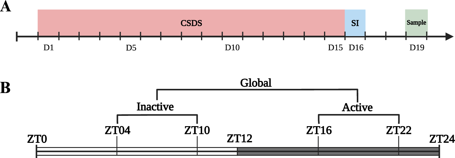 Fig. 1: Experimental design.