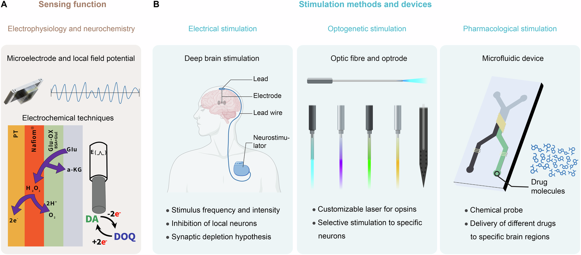 Fig. 3: The sensing and stimulation function of deep brain-machine interfaces.