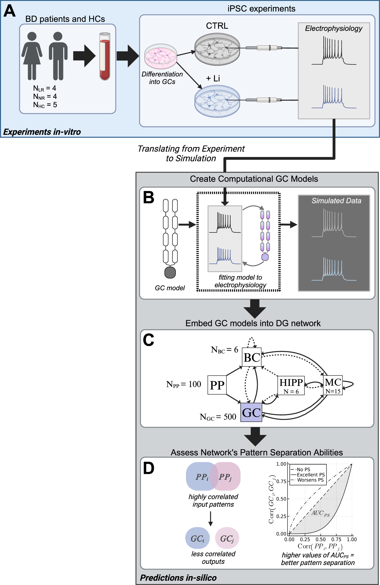 Fig. 1: Schematic of study methodology: from human participants to computational modelling.