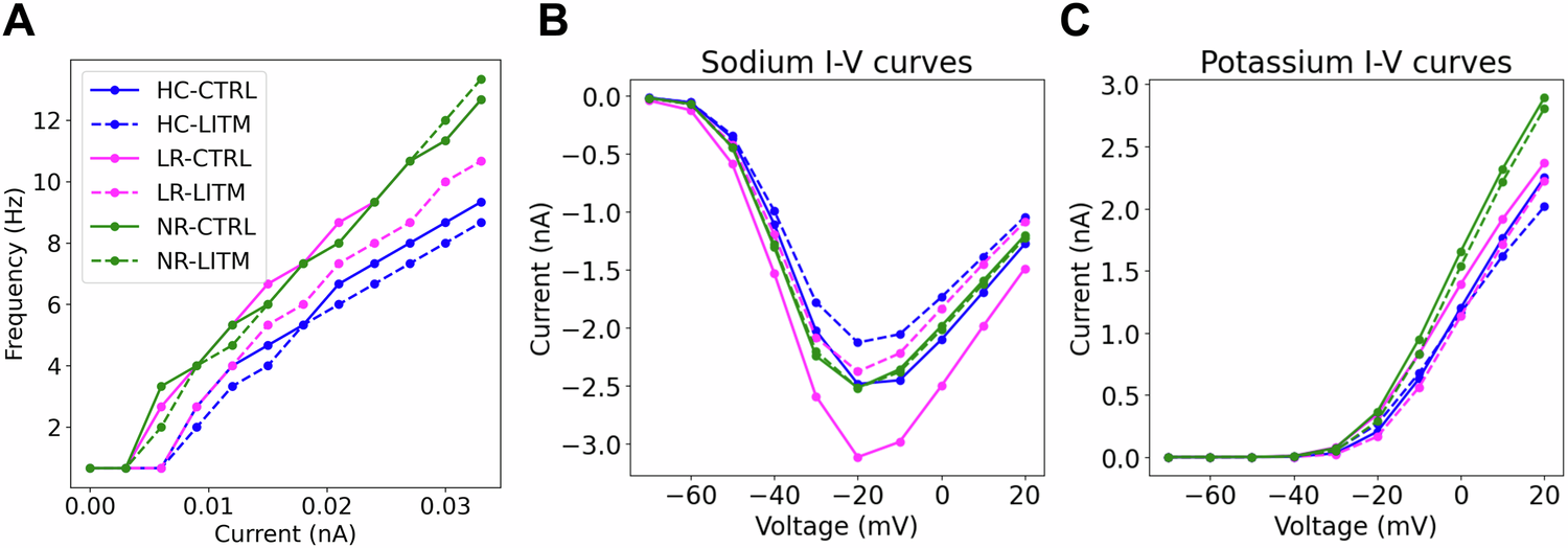 Fig. 2: Model GC electrophysiology for HC, LR and NR models, with and without lithium.