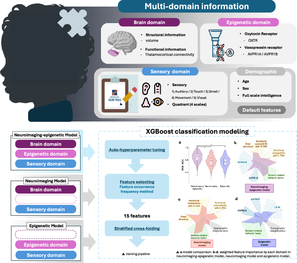 Dissecting the heterogeneity of autism spectrum disorder with sensory  behavior, brain, and epigenetic factors | Translational Psychiatry