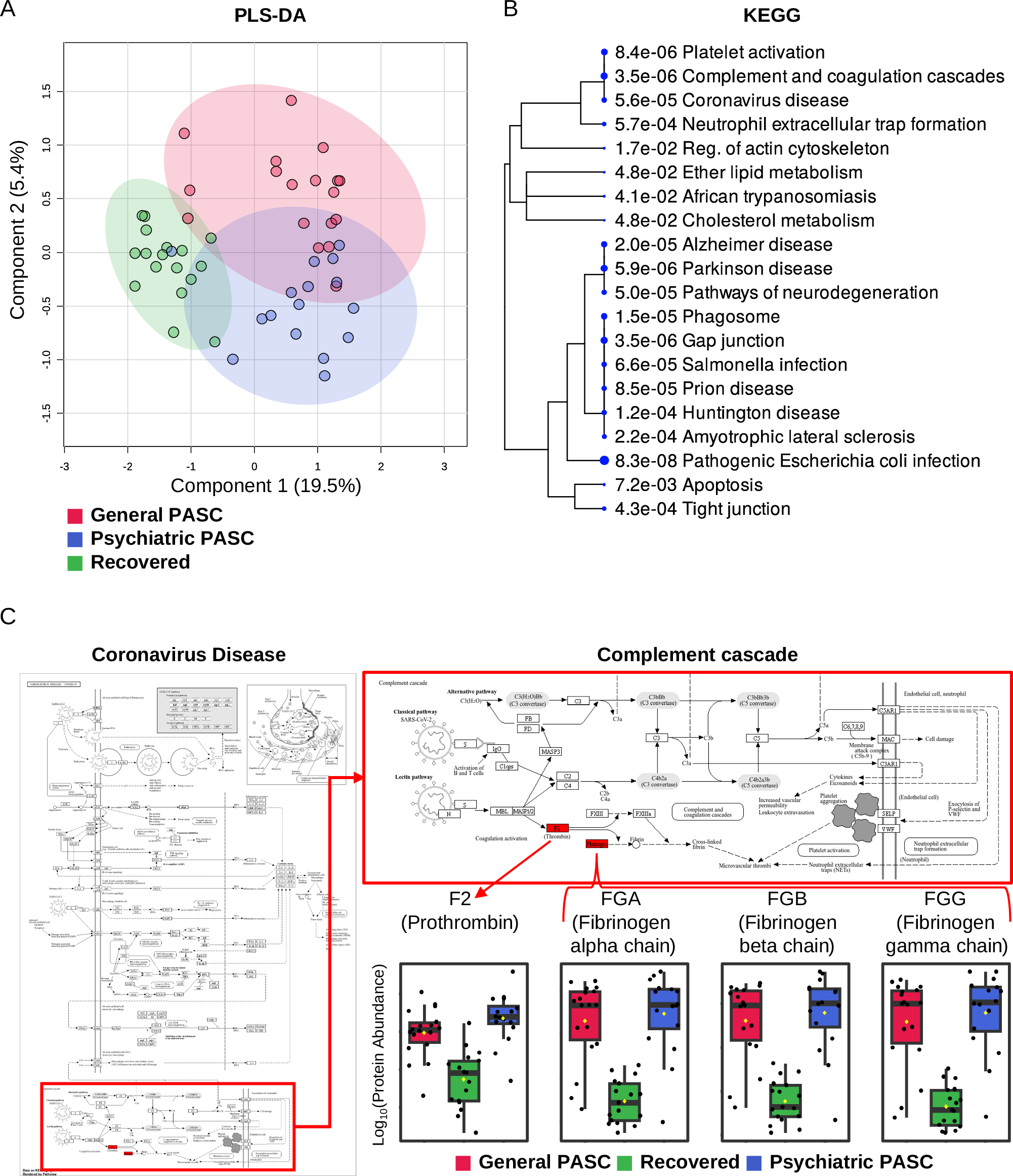 Fig. 1: Features of dried blood proteome from patients with COVID-19.
