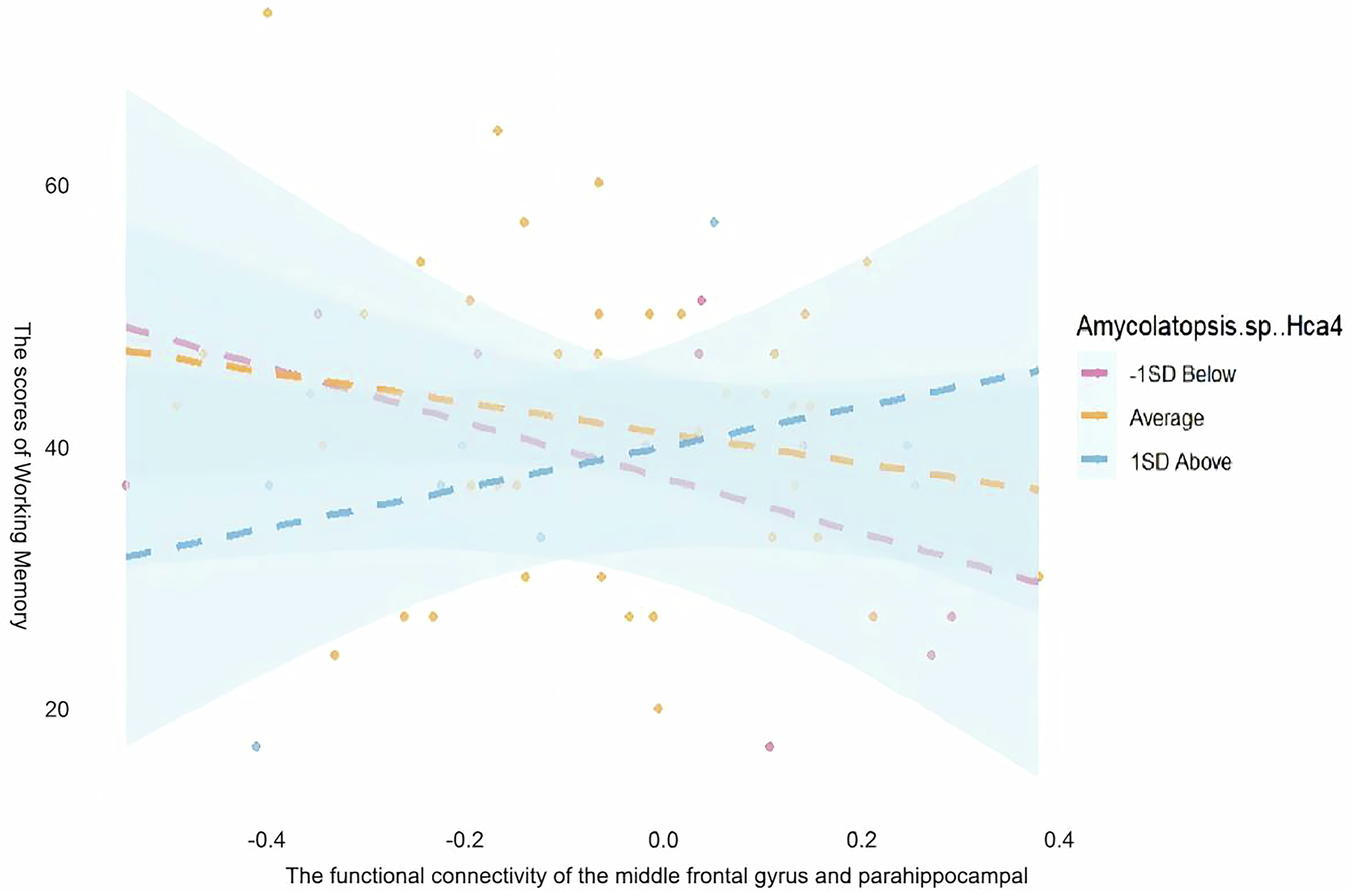 Fig. 6: Amycolatopsis sp. Hca4 modulates the relationship between functional connectivity of brain regions and working memory.