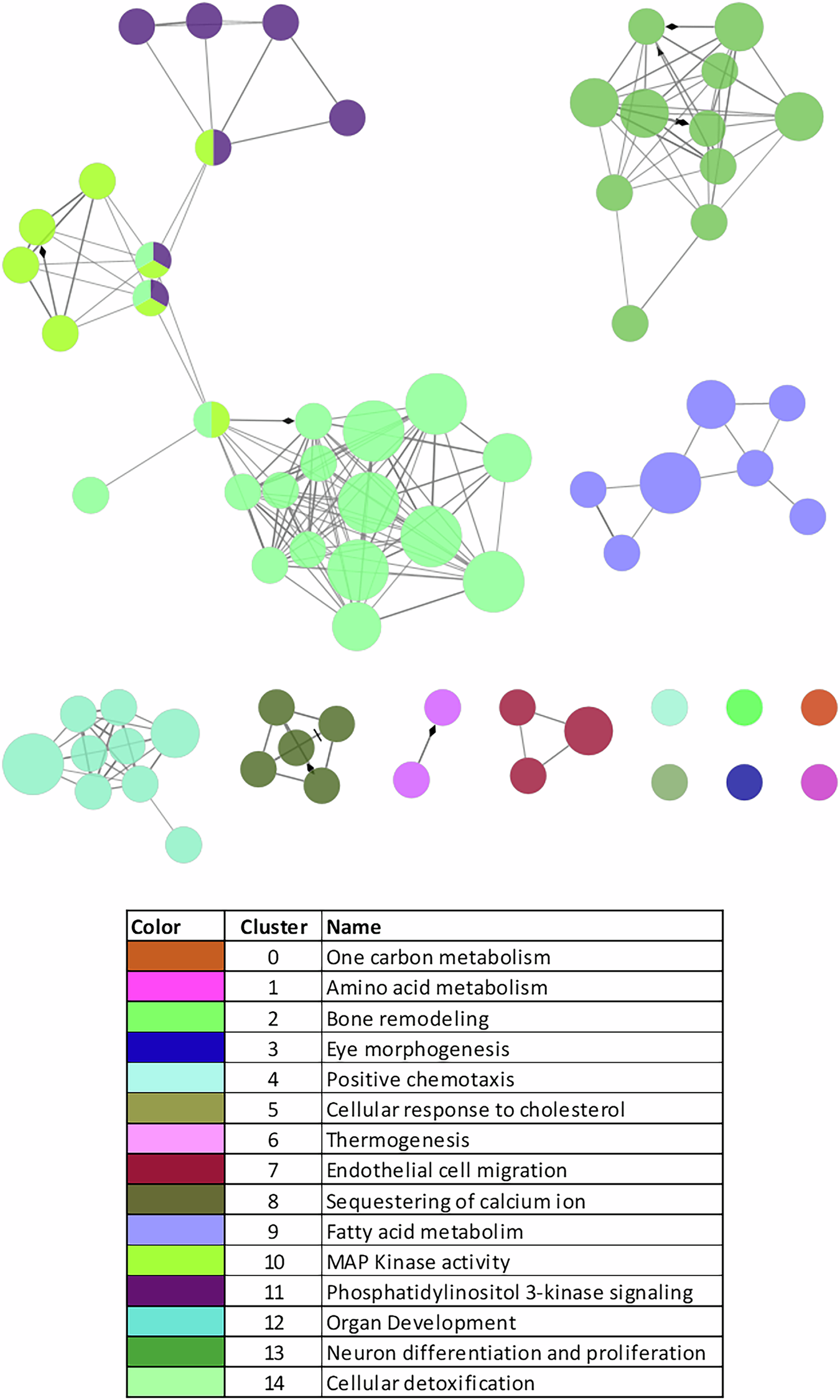 Fig. 1: Biological processes obtained from the genes in the green module according to ClueGO.