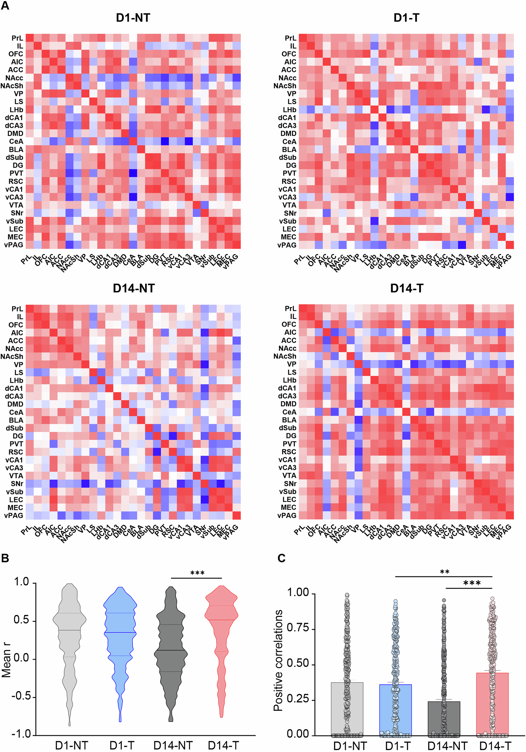Fig. 2: Functional connectivity changes during recall of short-term and long-term cocaine memories.