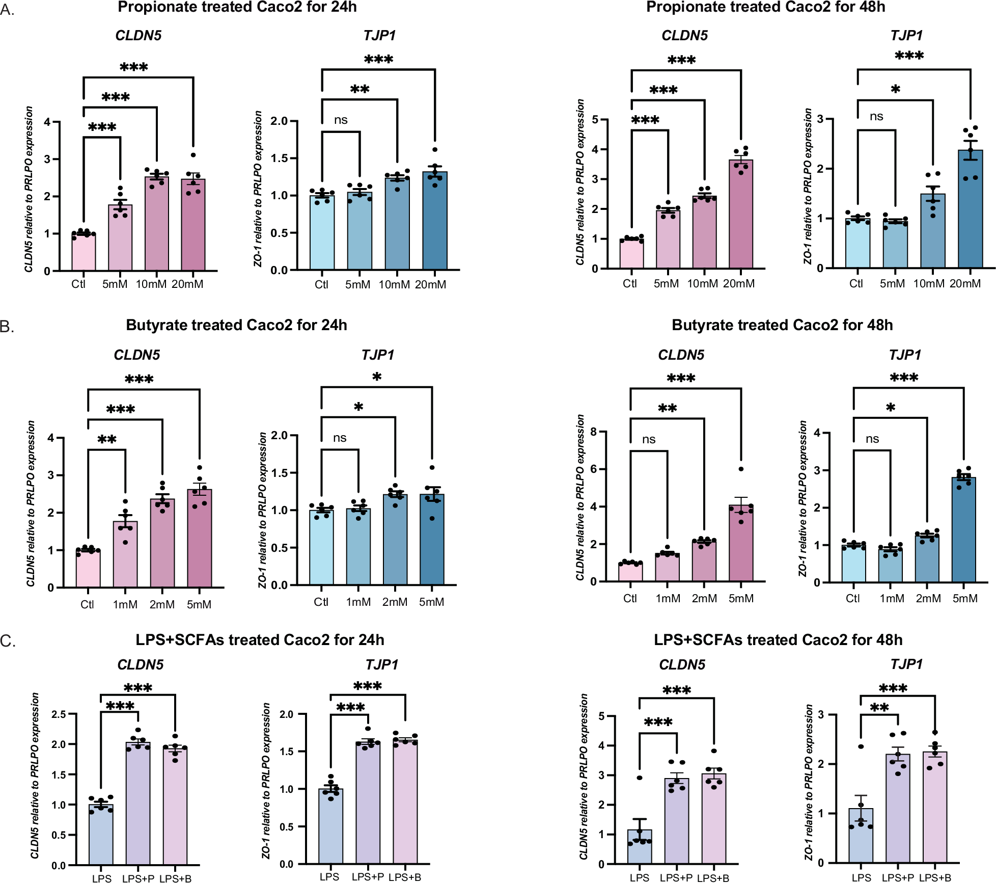 Fig. 6: SCFAs improving the transcriptional level of tight junction biomarkers in Caco-2 cells.
