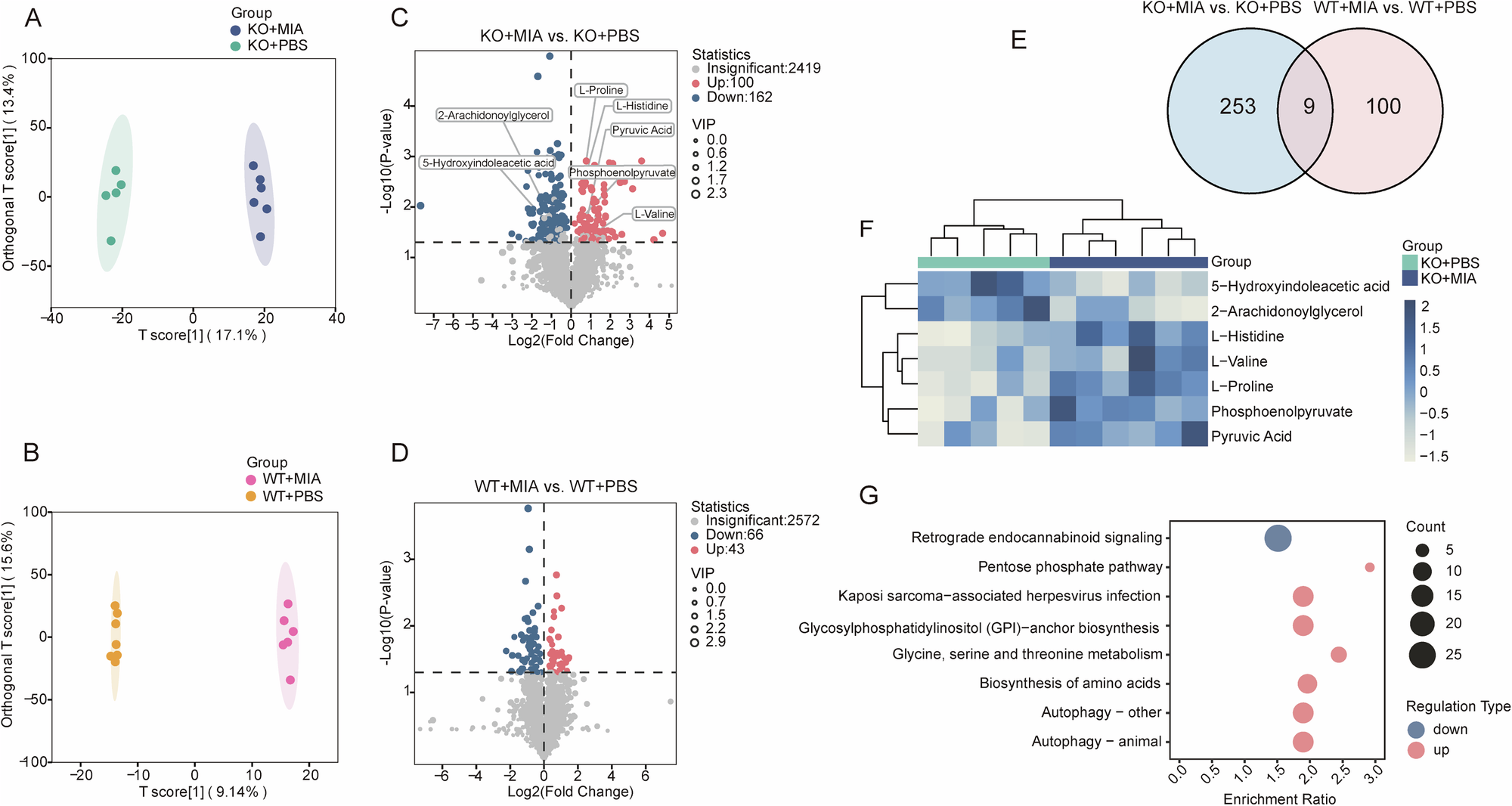 Fig. 2: Serum untargeted metabolomics reveals maternal metabolic disturbances.