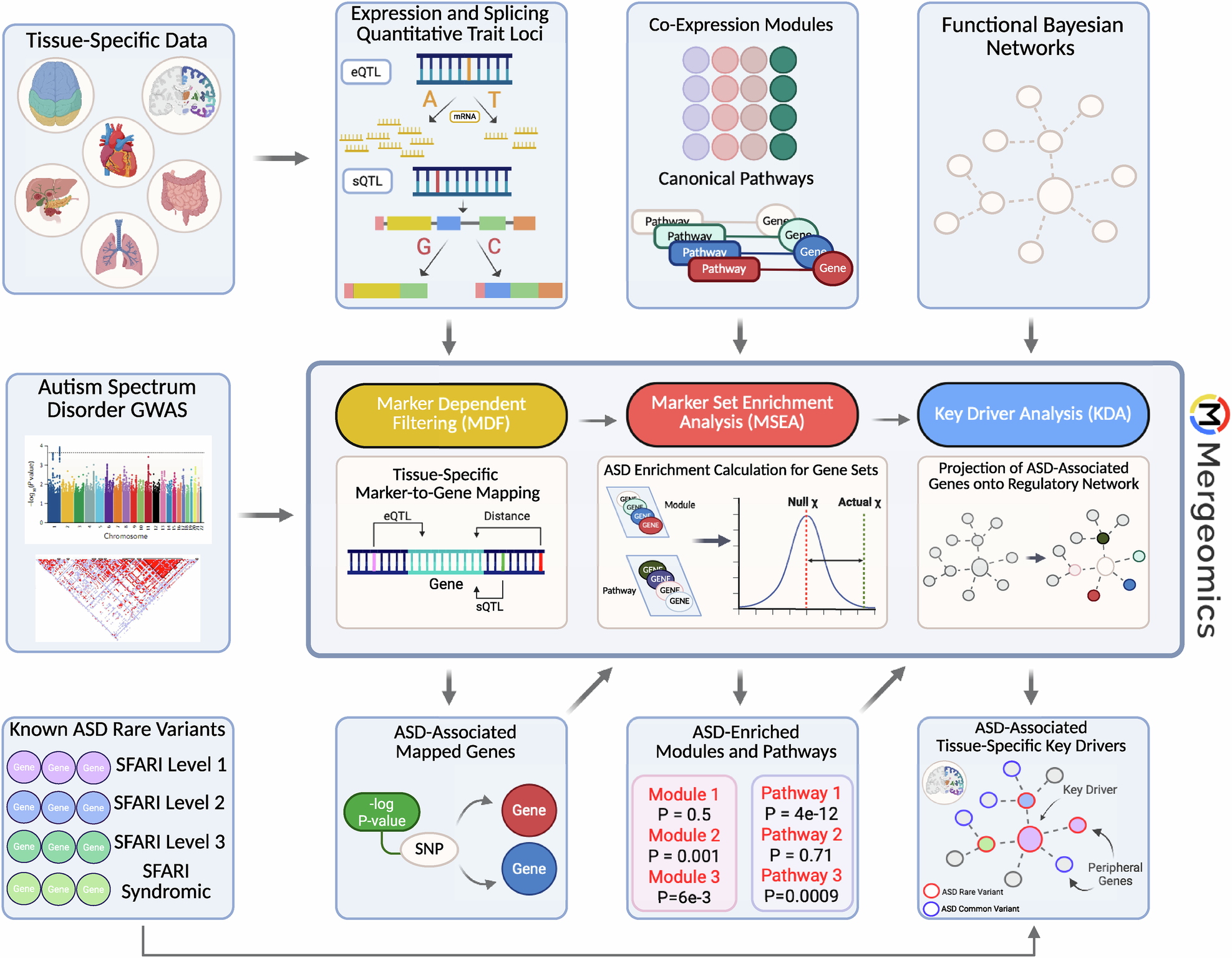 Fig. 1: Analysis workflow.