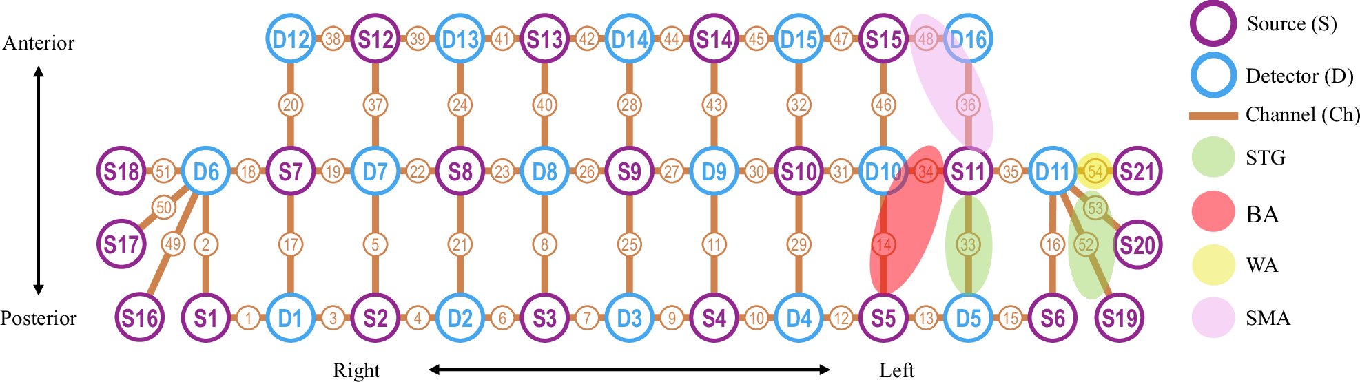 Fig. 1: The fNIRS data acquisition.
