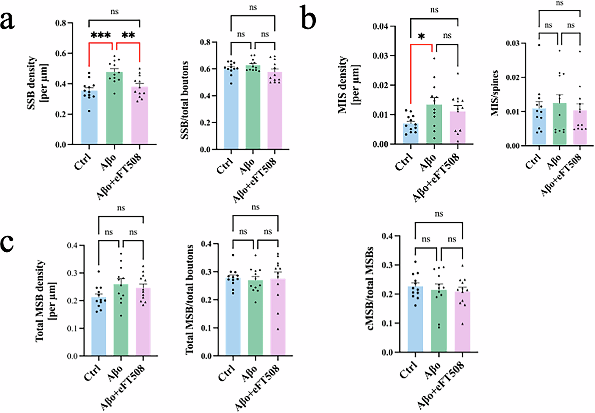 Fig. 2: Low concentrations of Aβo increased SSB densities in secondary dendrites of primary cortical neurons, and reversal by eFT508 treatment.
