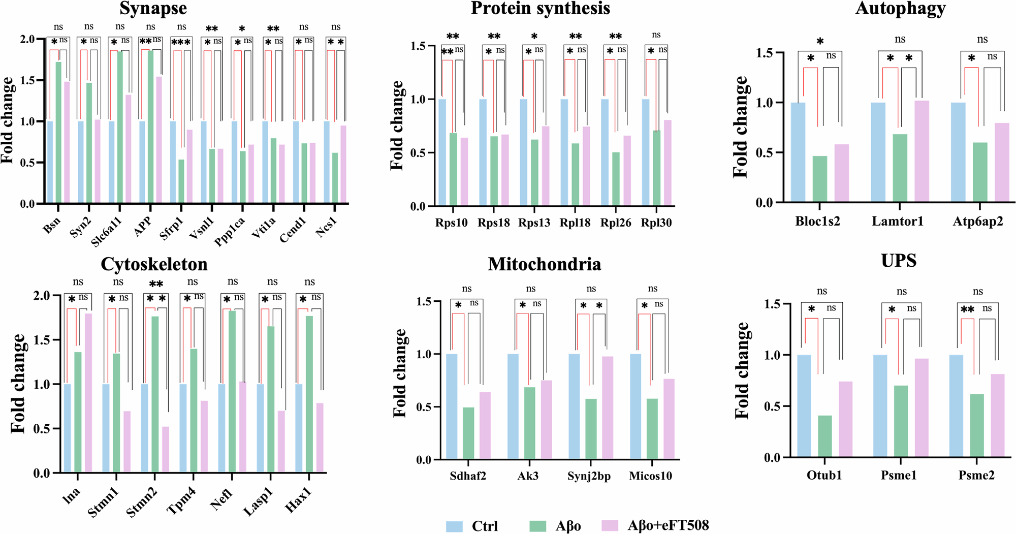 Fig. 7: Impact of eFT508 treatment on Aβo-induced changes in de novo protein synthesis.