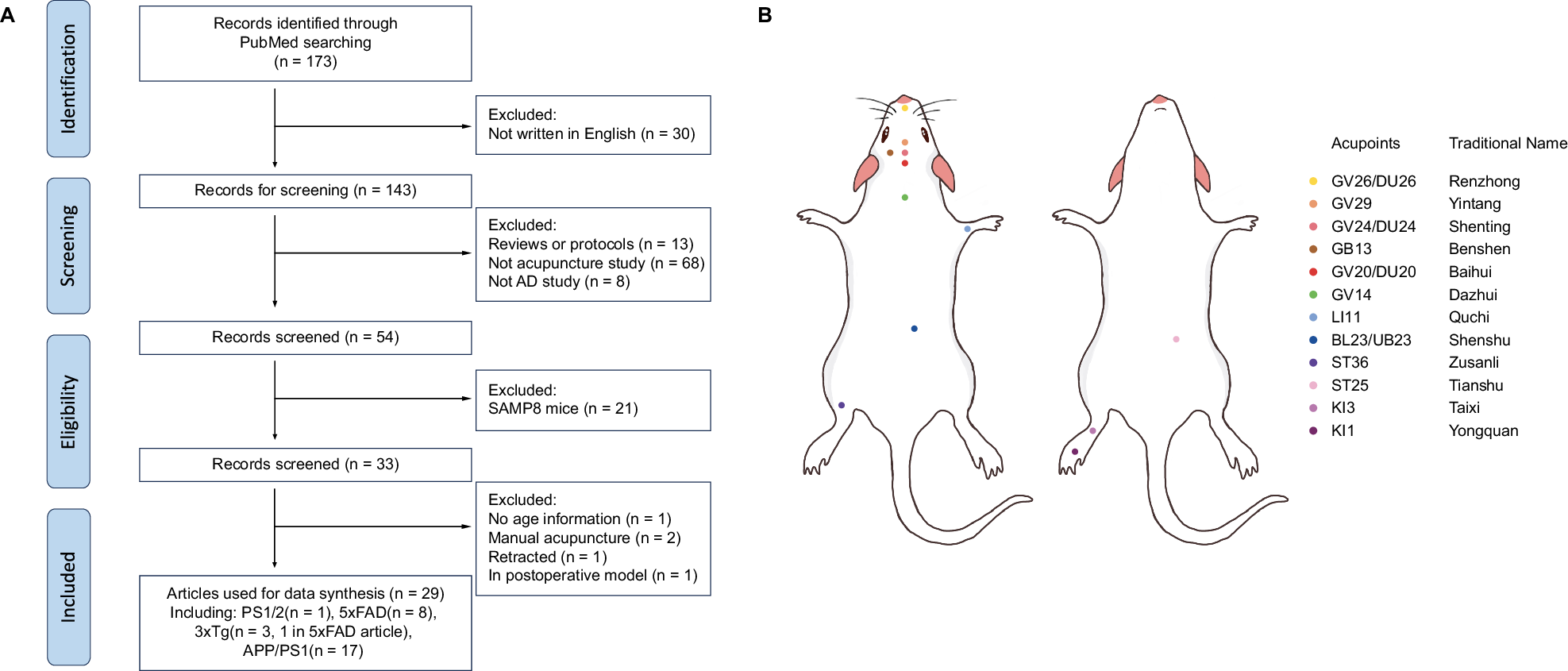 Fig. 1: Study selection process and mouse-human acupoint correspondence.
