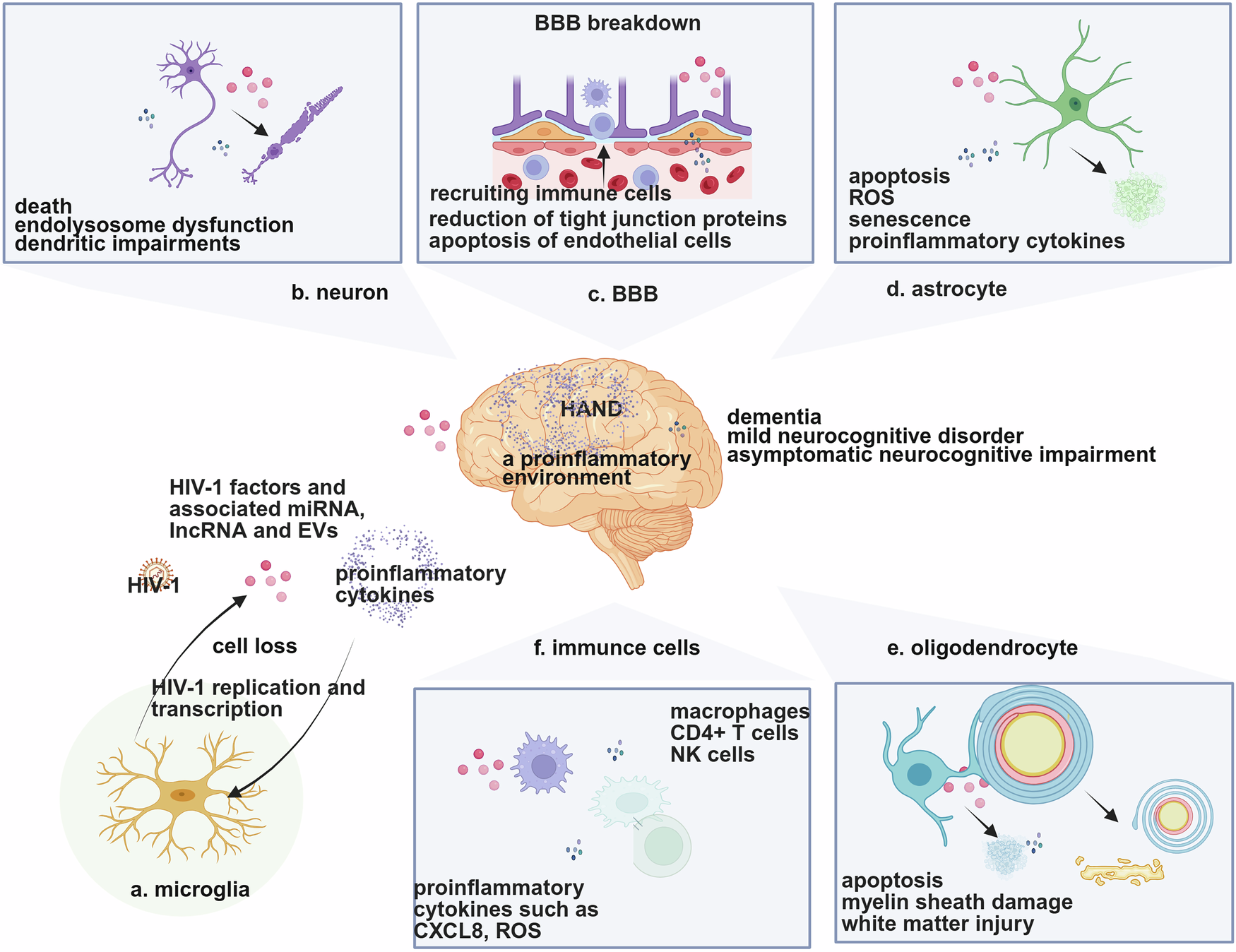 Fig. 4: Overview of the roles of microglial activation and HIV-1 factors in NeuroHIV.