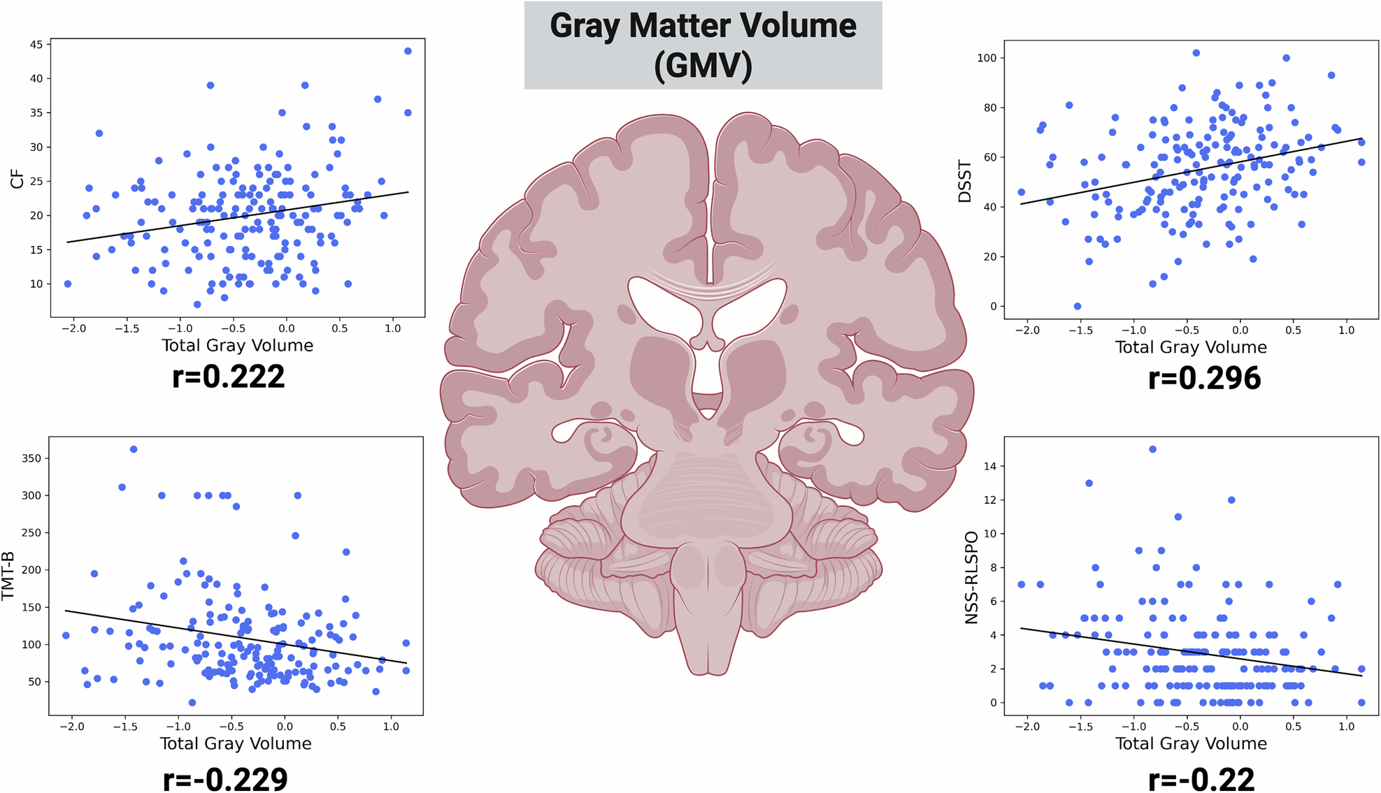 Fig. 2: Associations of gray matter volume (GMV) with cognitive and sensorimotor measures.