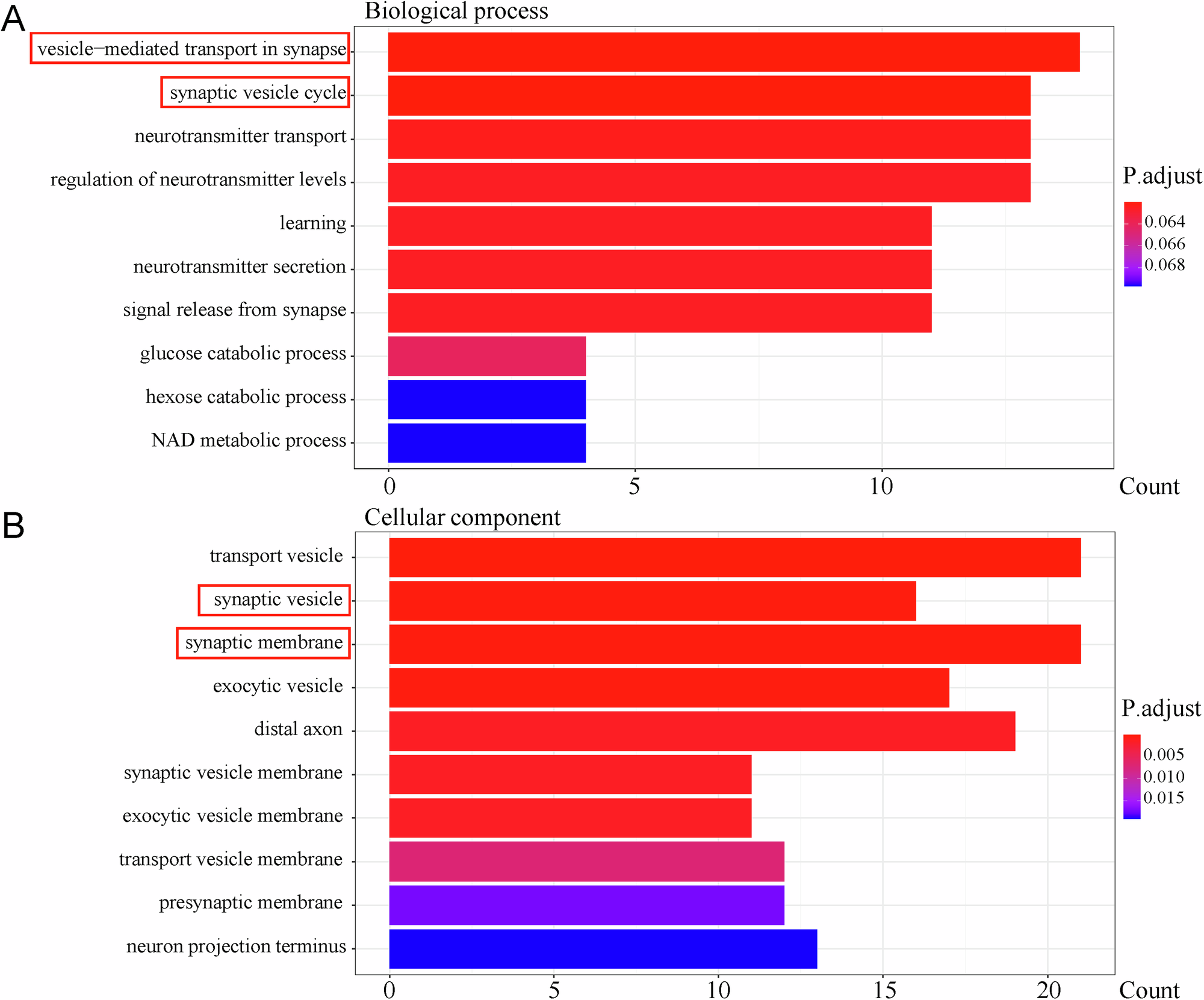 Fig. 6: GO enrichment analysis of downregulated DEGs in the I-LT group compared with the SPS-S group.