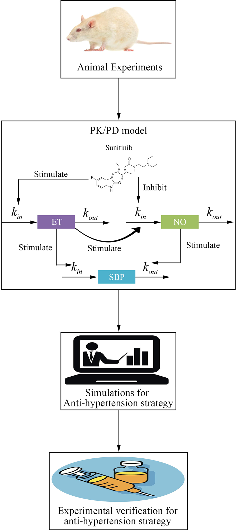 PK/PD modeling based on NO-ET homeostasis for improving management of  sunitinib-induced hypertension in rats | Acta Pharmacologica Sinica