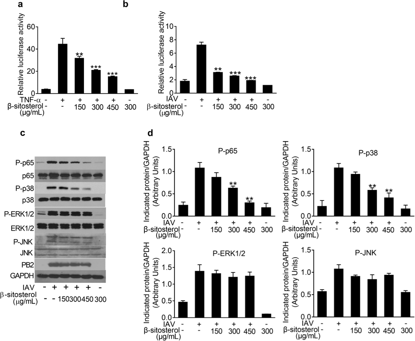 B Sitosterol Ameliorates Influenza A Virus Induced Proinflammatory Response And Acute Lung Injury In Mice By Disrupting The Cross Talk Between Rig I And Ifn Stat Signaling Acta Pharmacologica Sinica