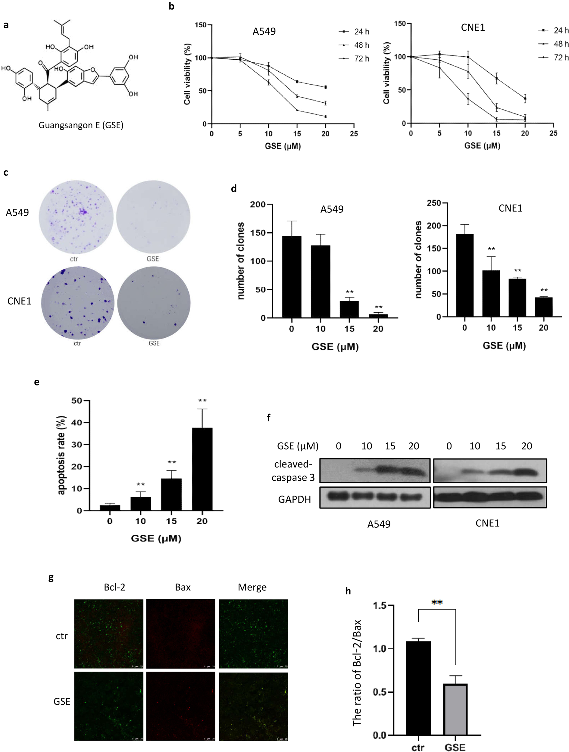A novel Diels–Alder adduct of mulberry leaves exerts anticancer effect  through autophagy-mediated cell death | Acta Pharmacologica Sinica