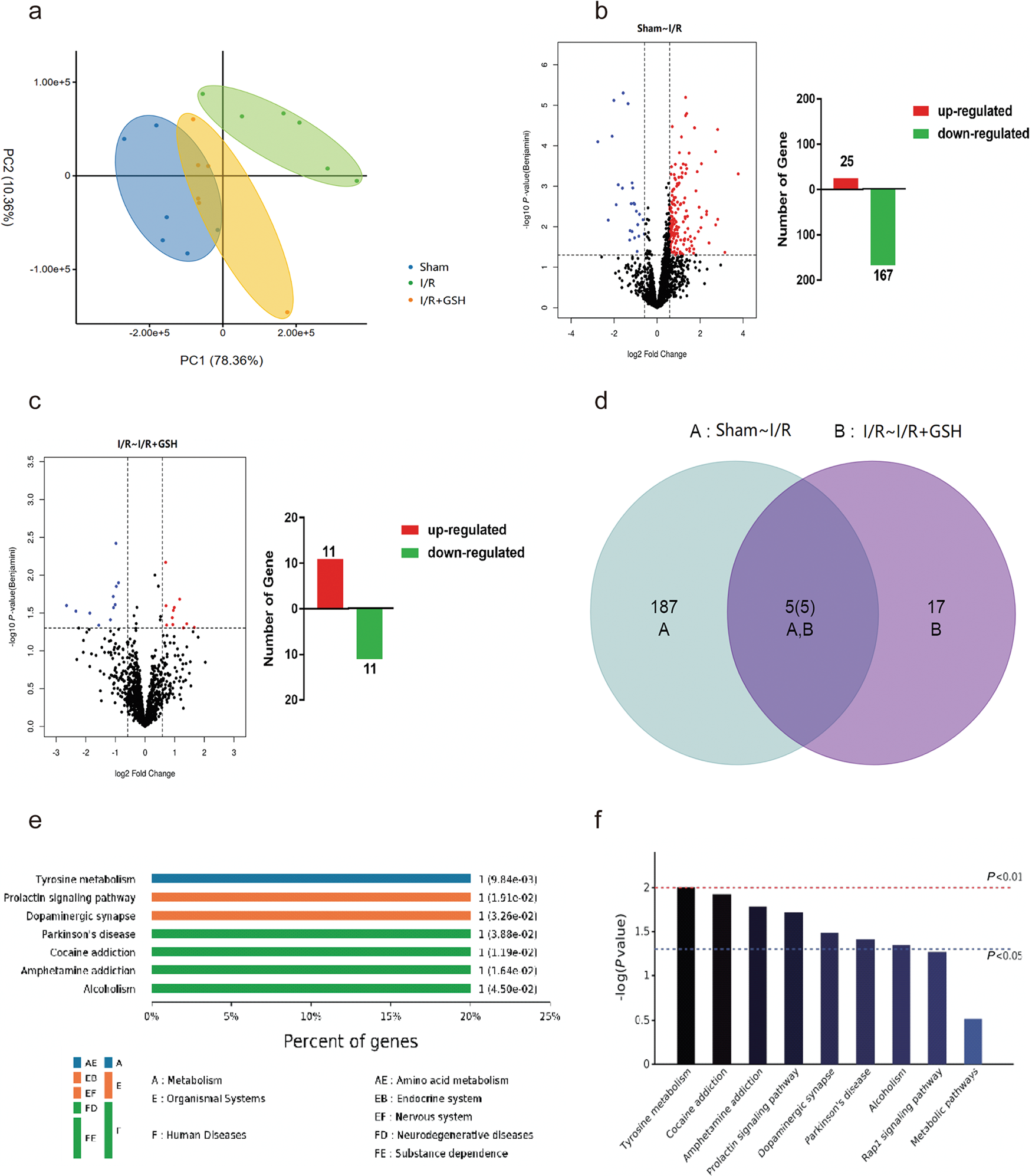 glutathione stroke Glutathione Peroxidase-3 Deficiency Promotes Platelet-Dependent Thrombosis  In Vivo main image 0