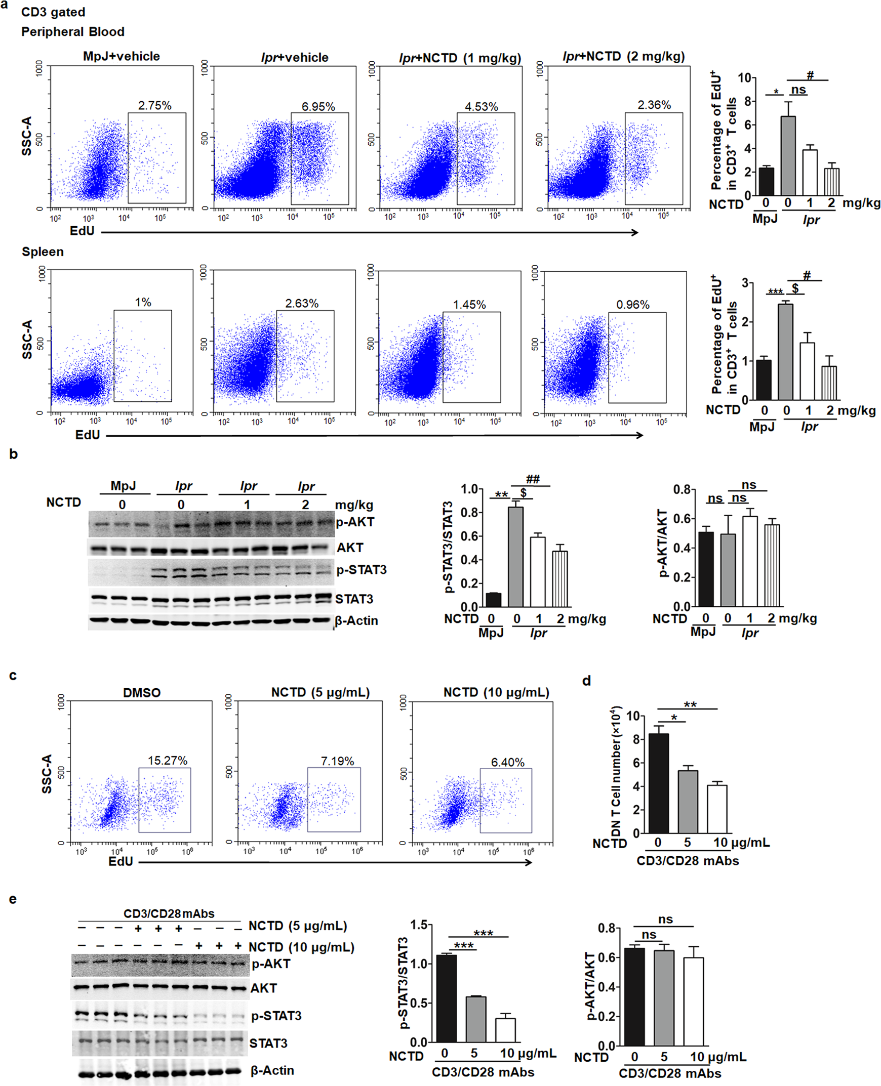 Fig. 4: NCTD treatment blocked DN T cell proliferation by inhibiting STAT3 activation.