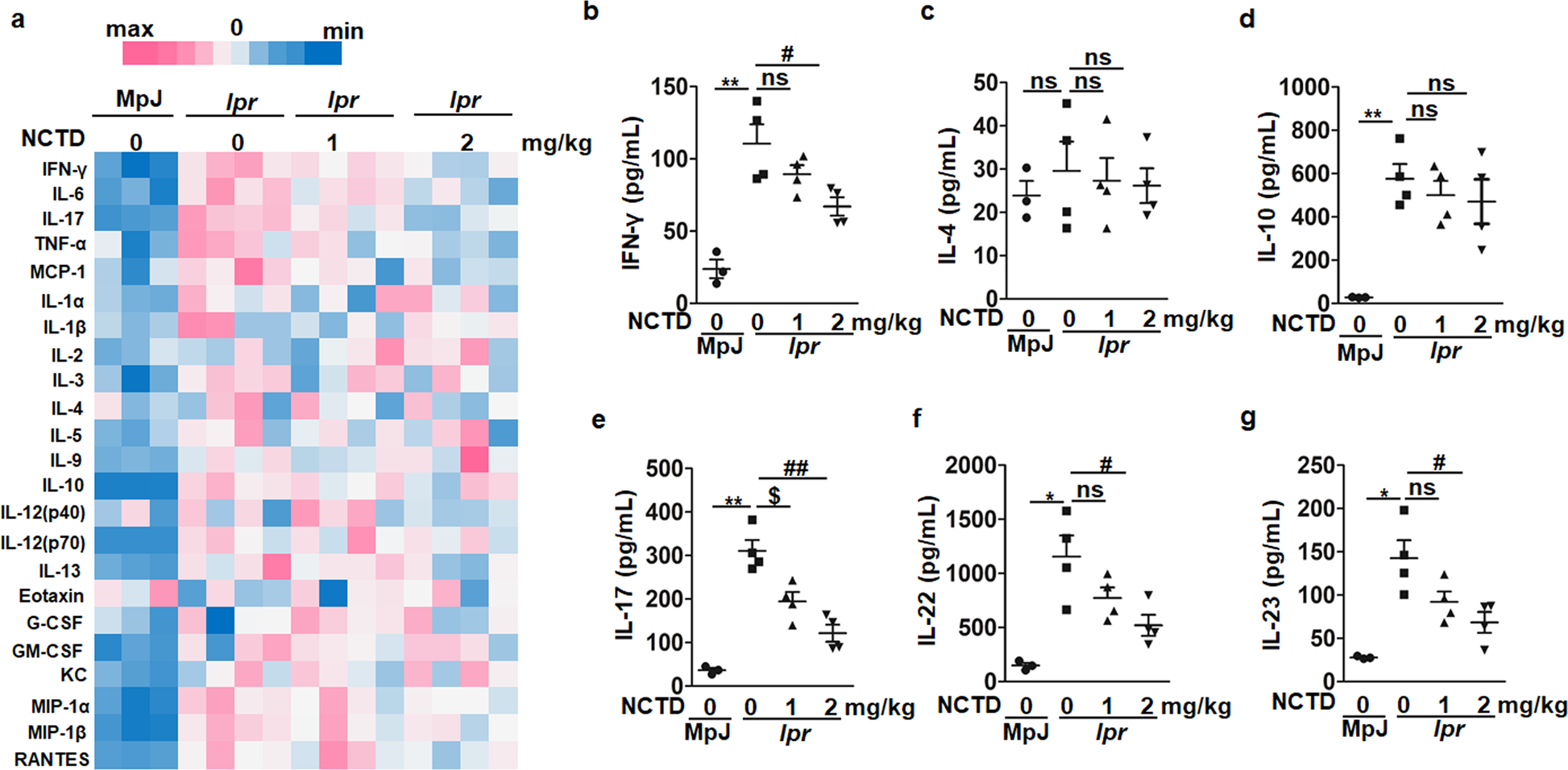 Fig. 5: Decreased inflammation level in NCTD-treated MRL/lpr mice.