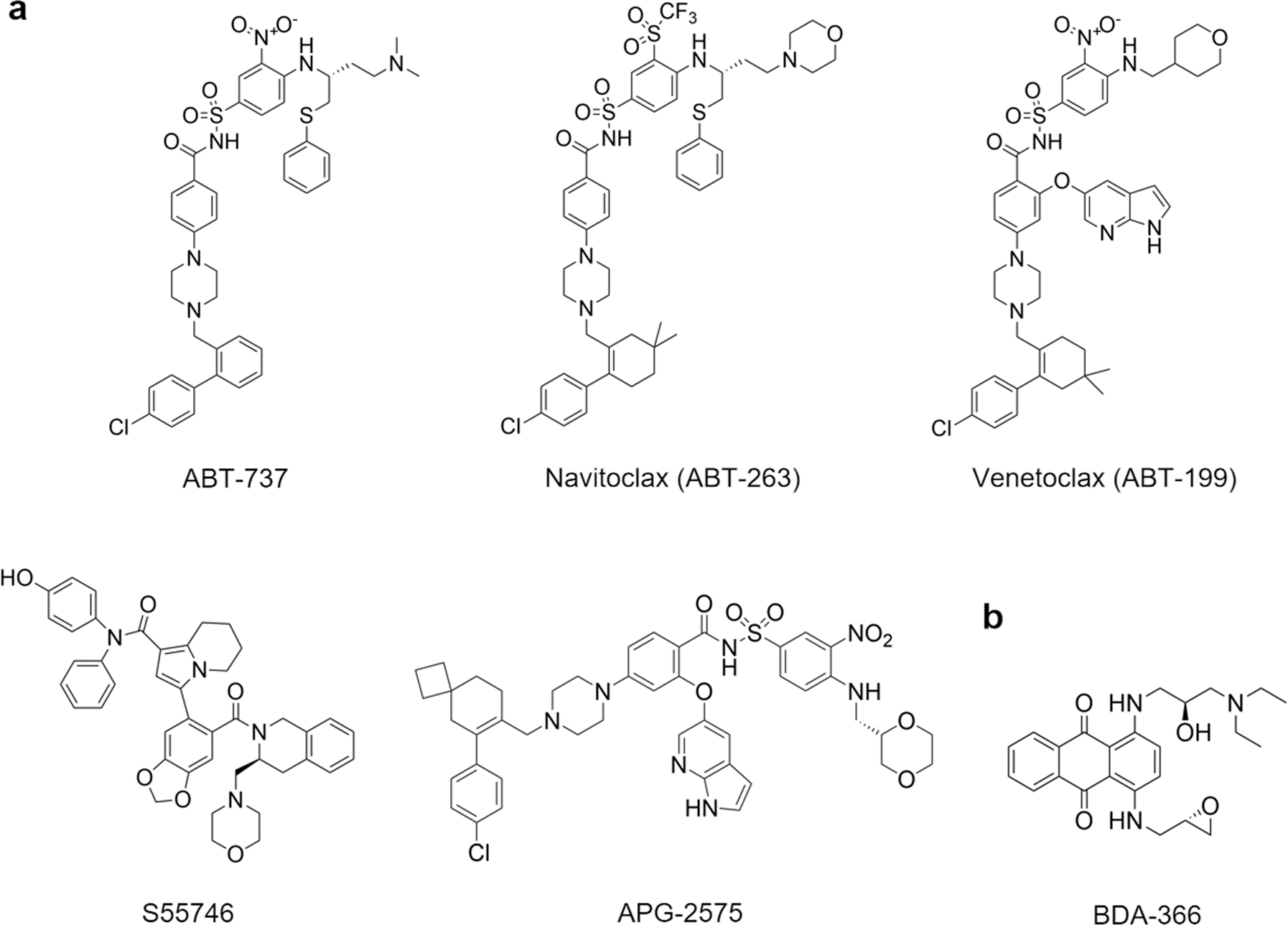 Discovery and identification of a novel small molecule BCL-2 inhibitor that  binds to the BH4 domain | Acta Pharmacologica Sinica