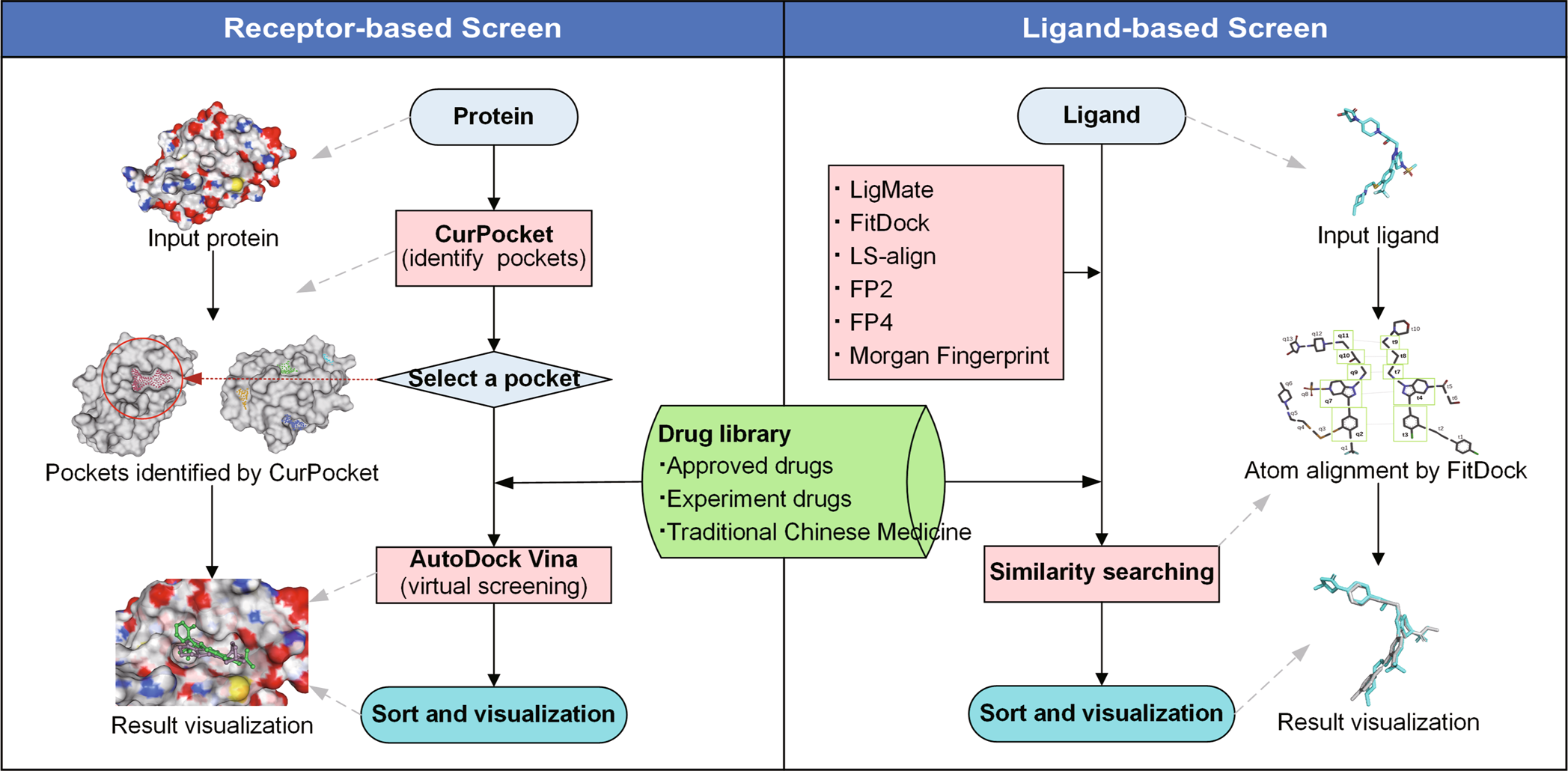 DrugRep: an automatic virtual screening server for drug 