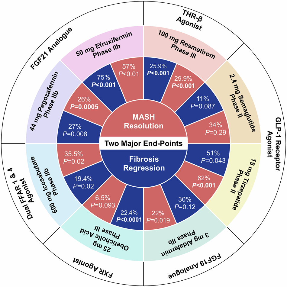 New advances in novel pharmacotherapeutic candidates for the treatment of  metabolic dysfunction-associated steatohepatitis (MASH) between 2022 and  2024