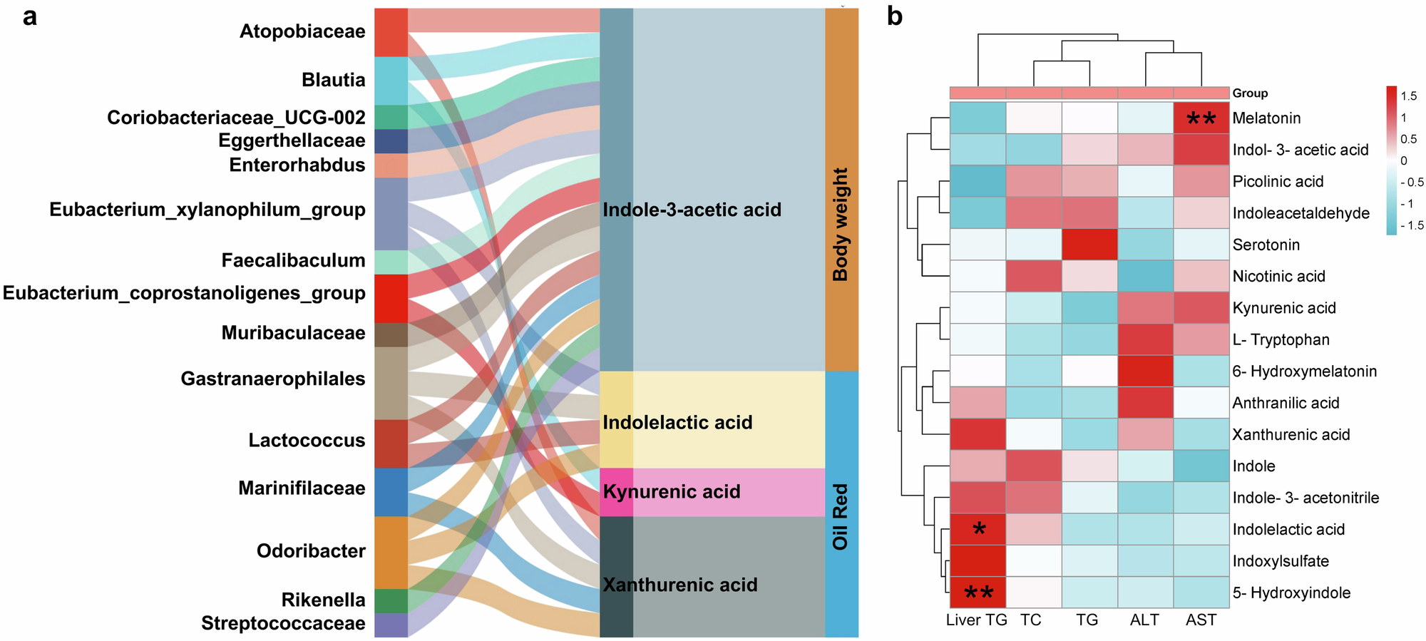 Fig. 10: CB2R-mediated gut dysbiosis contributed to NAFLD development in association with tryptophan metabolites.