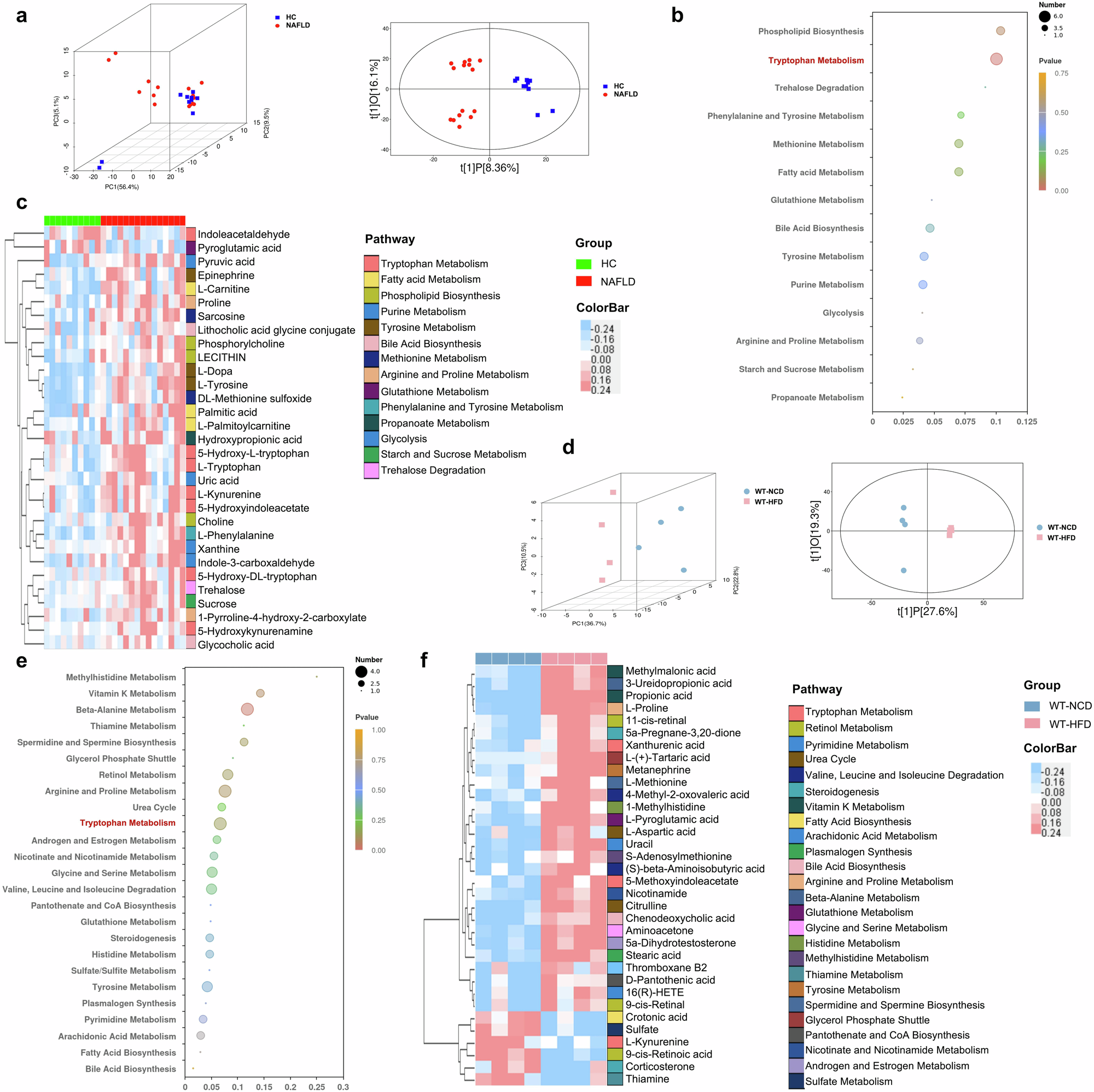 Fig. 8: Disordered tryptophan metabolism in NAFLD patients and mice.