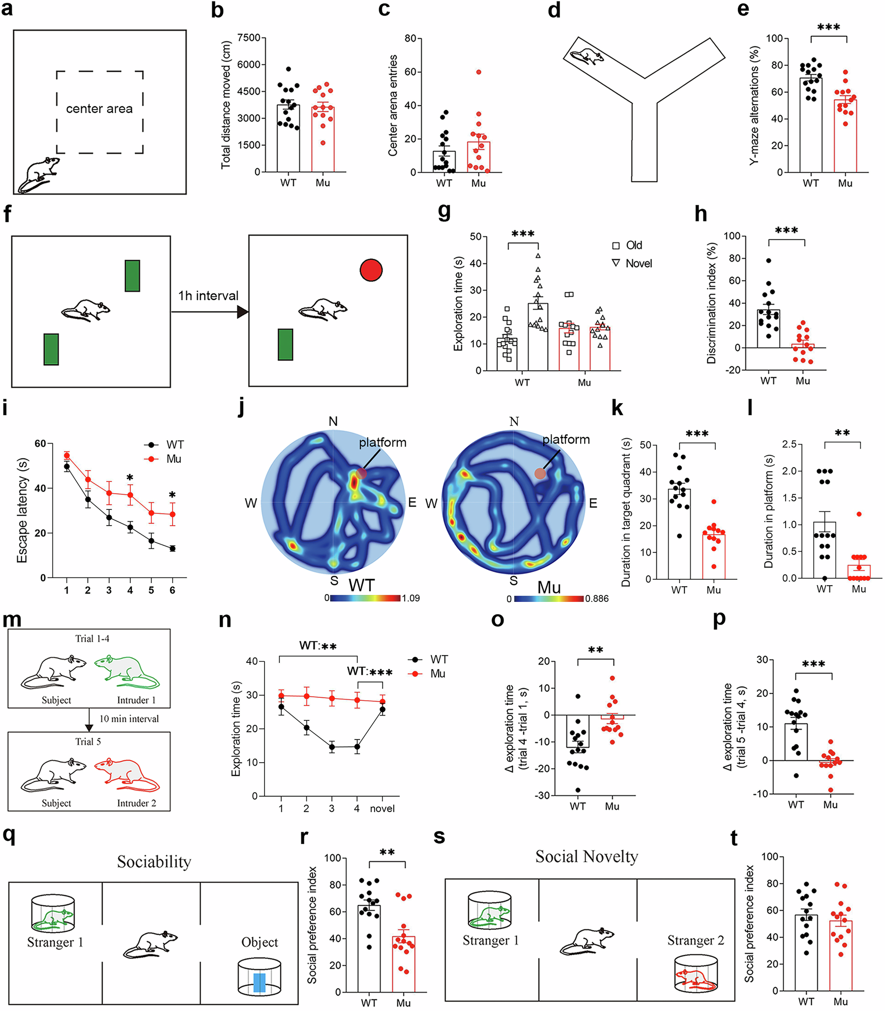 Fig. 3: Impaired cognitive and social behaviors in adult Satb1 mutant rats.