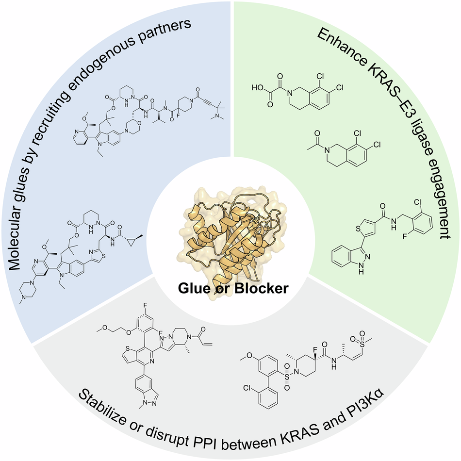Evolution of KRAS molecular glues: from allele-selective to Pan-RAS and protein–protein interaction modulators