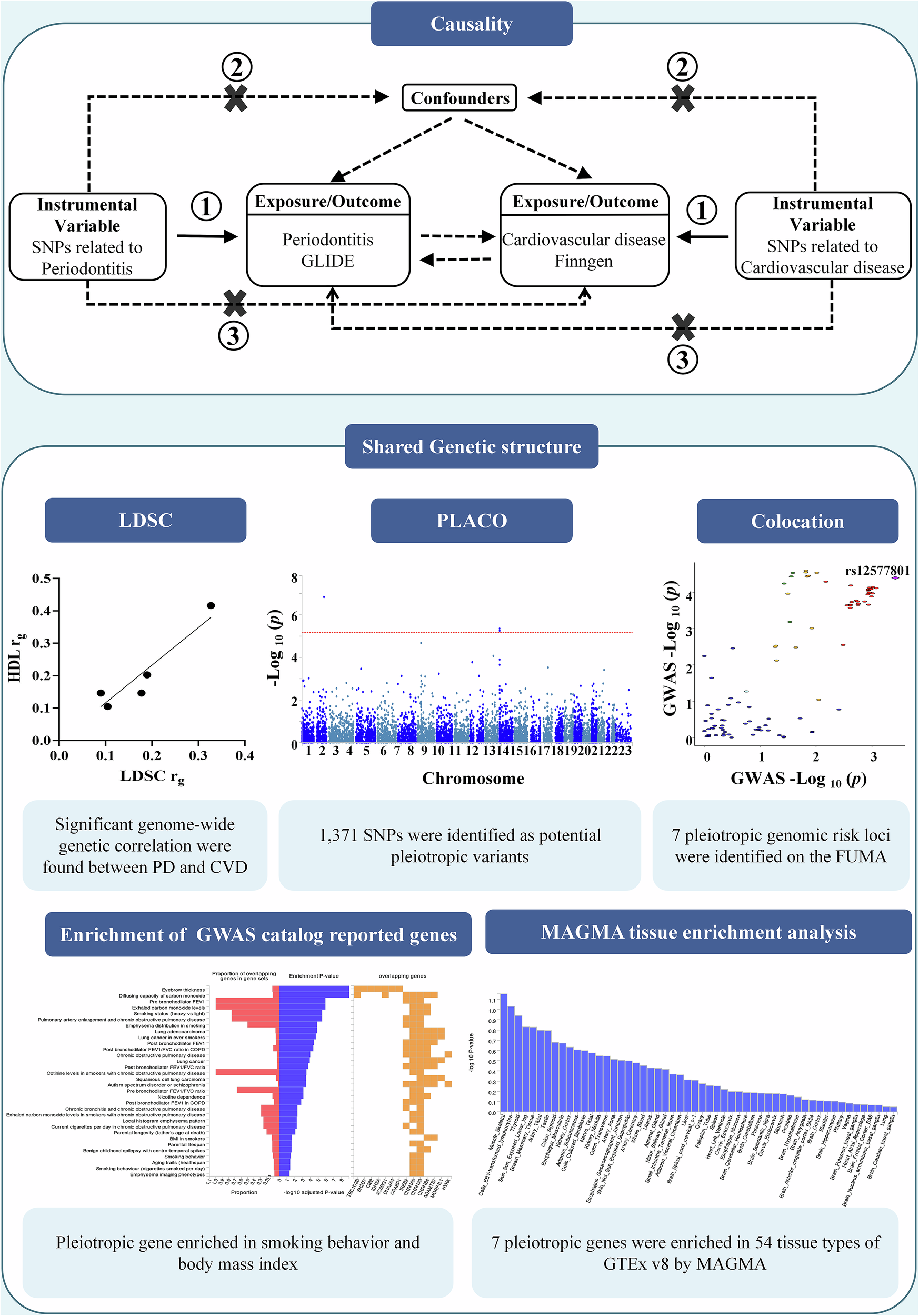 Fig. 1: Study workflow.