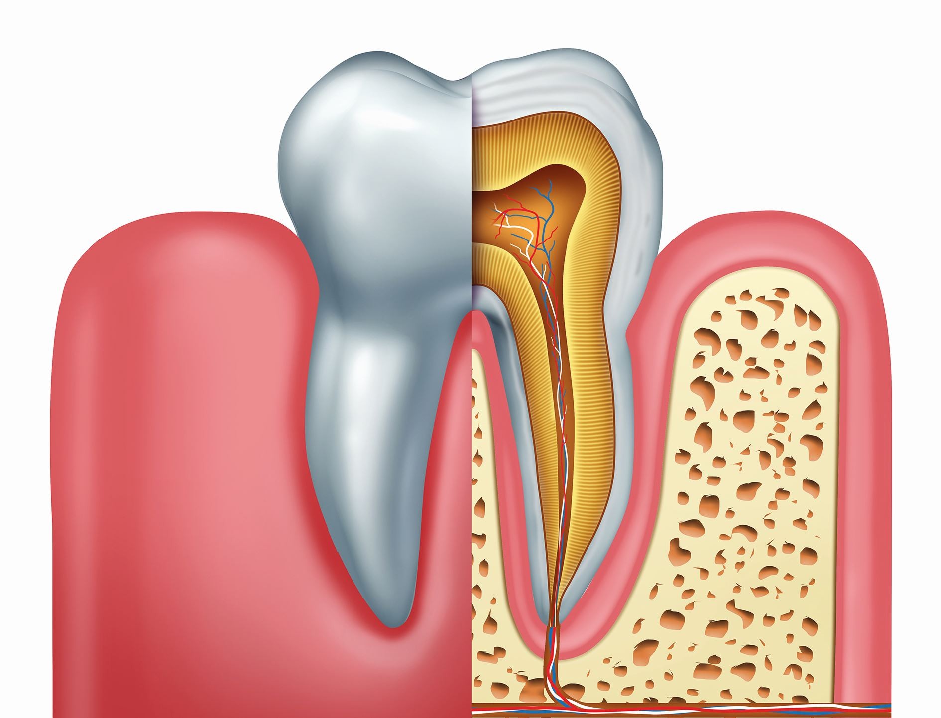 Why You Shouldn't Put off Getting a Root Canal Procedure - GentleWave  Procedure