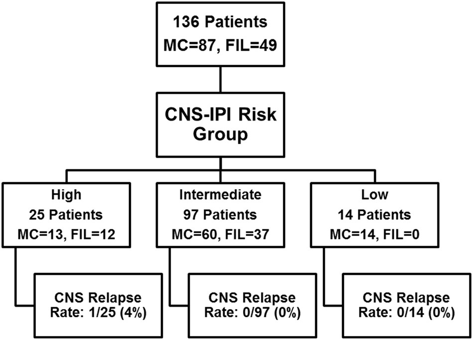 Fig. 1: Patient flow diagram.