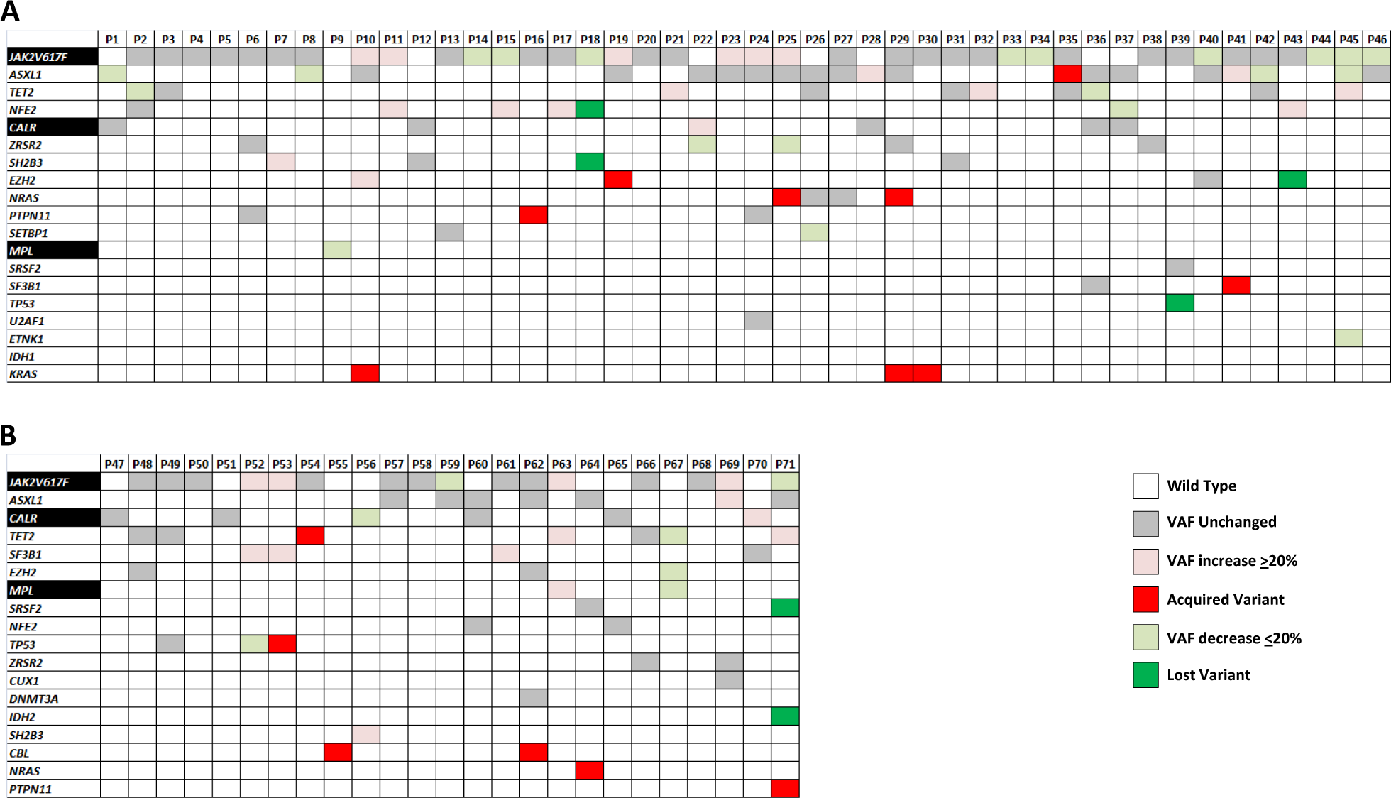 Mutation Landscape In Patients With Myelofibrosis Receiving