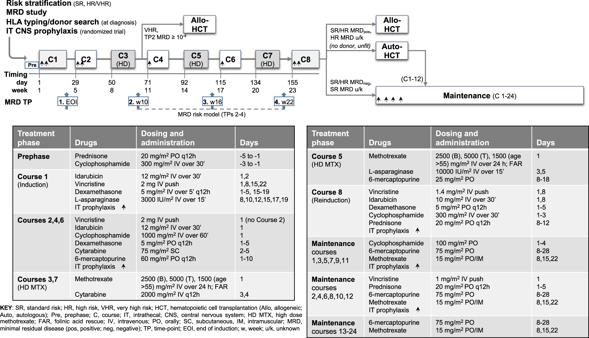 Updated risk-oriented strategy for acute lymphoblastic leukemia in adult  patients 18–65 years: NILG ALL 10/07 | Blood Cancer Journal