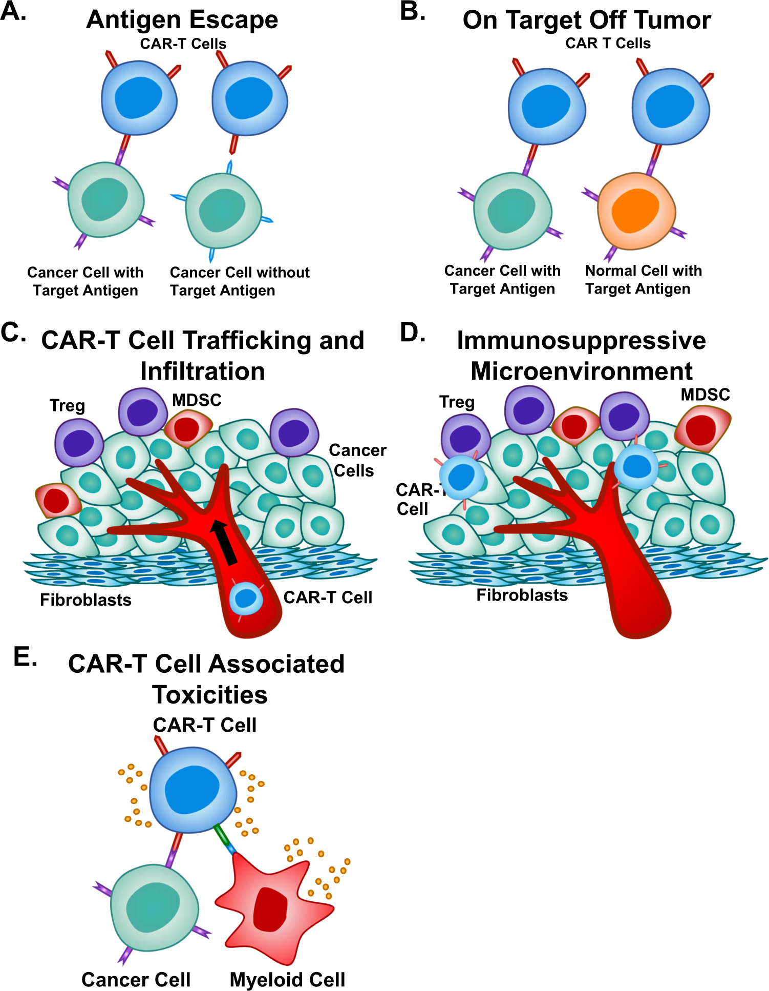 CAR-T cell therapy: current limitations and potential strategies 