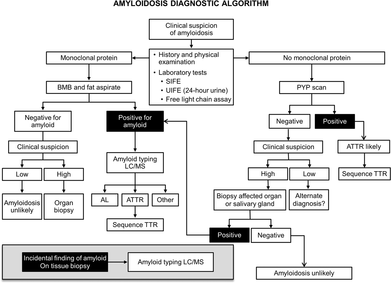 Immunoglobulin light chain amyloidosis diagnosis and treatment algorithm  2021 | Blood Cancer Journal