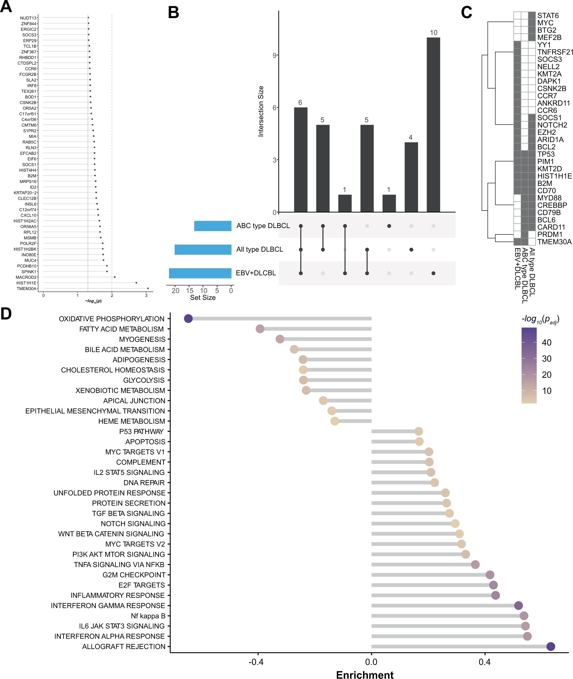 Fig. 4: MutSigCV analysis for variant calling.