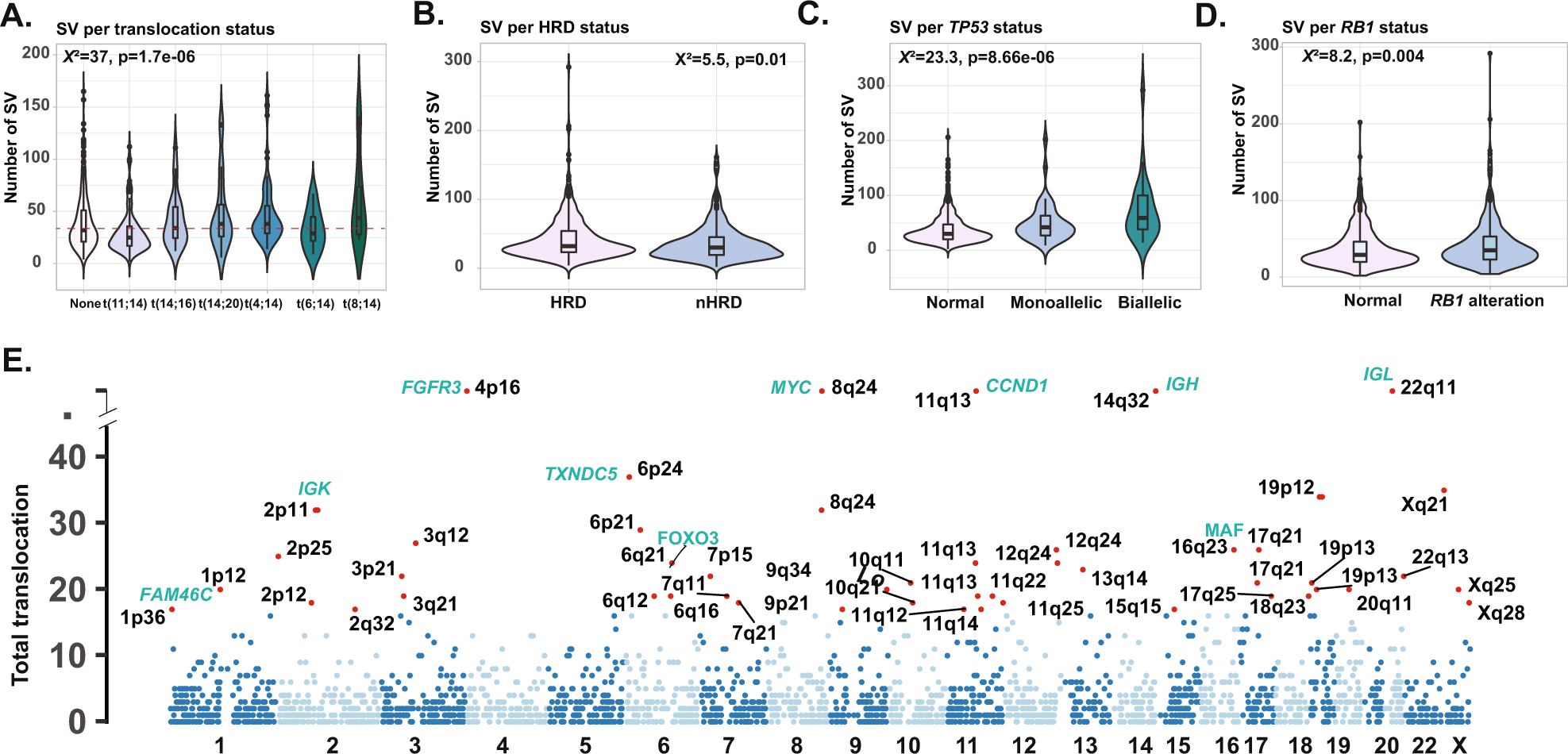 Fig. 1: Distribution of SV across the genetic subgroups of NDMM (n = 812).