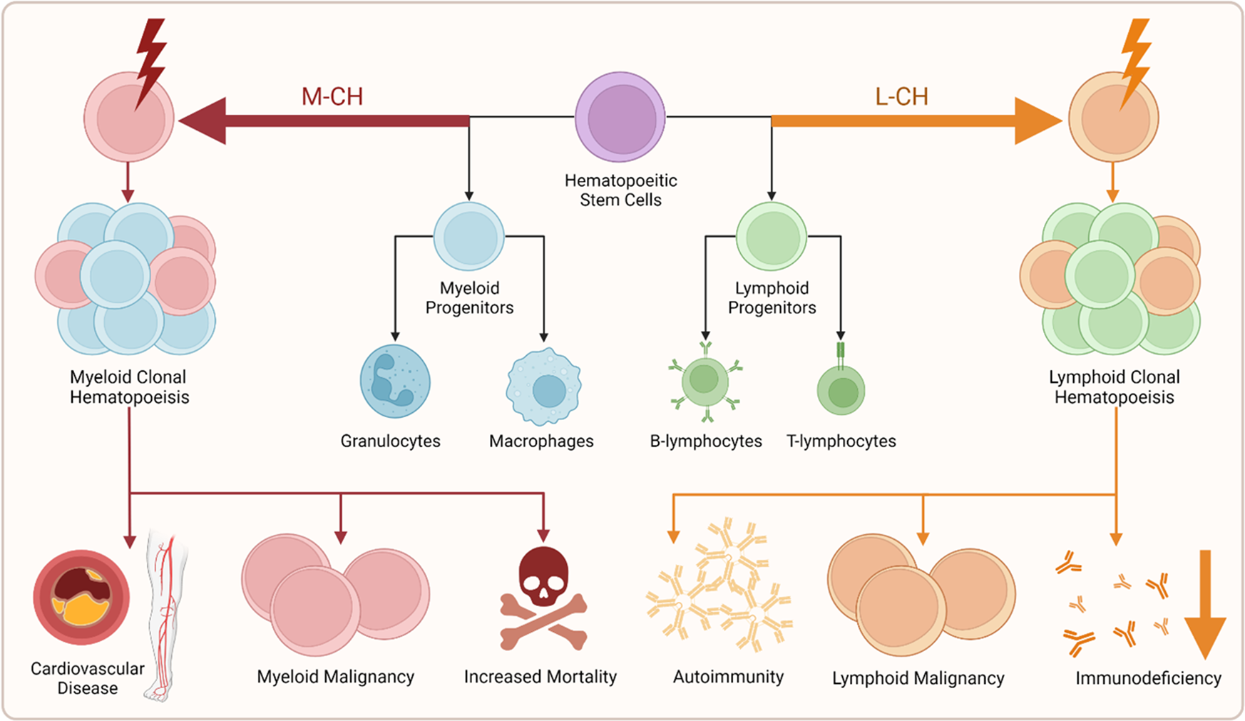 Lymphoid clonal hematopoiesis: implications for malignancy, immunity, and  treatment