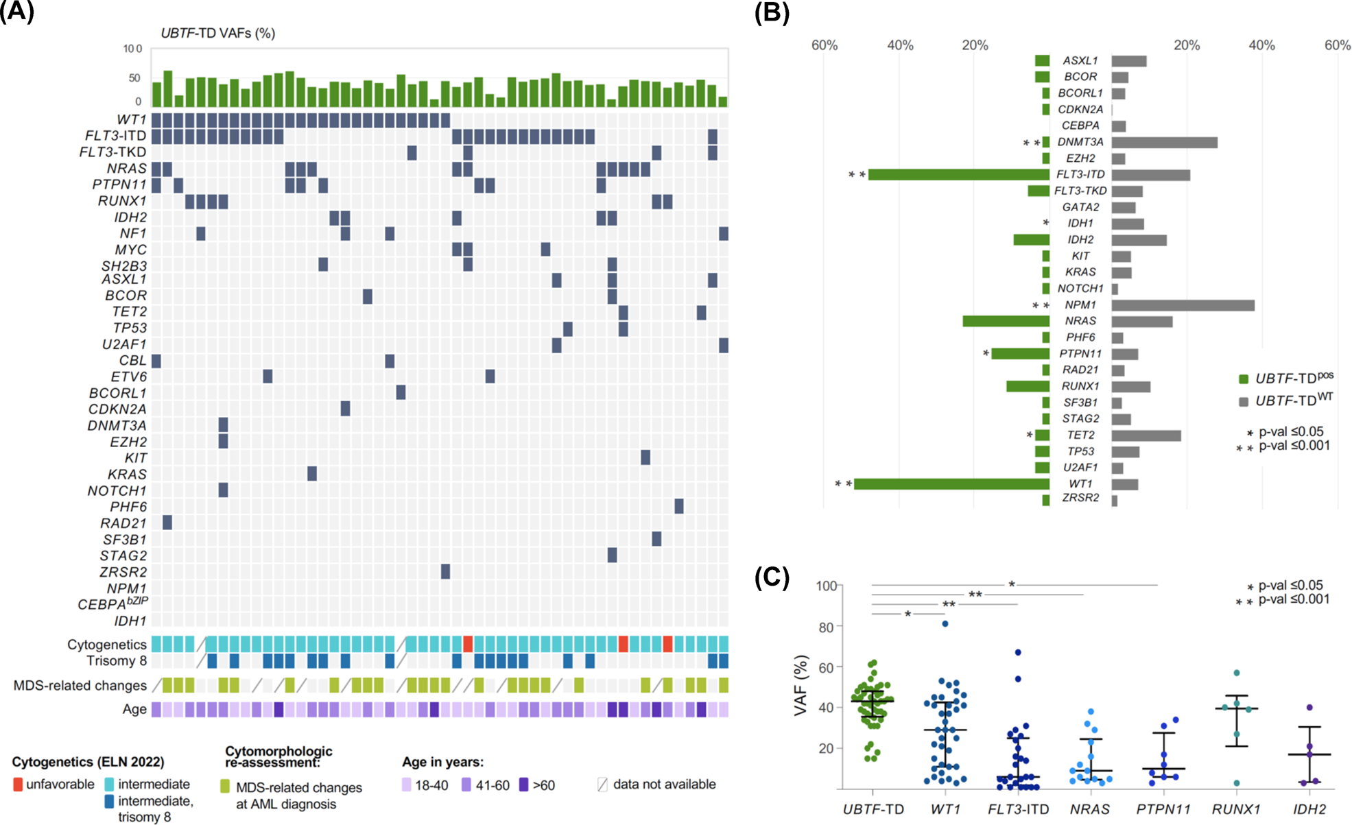 Fig. 3: Landscape of co-mutations in UBTF mutant AML and survival analysis according to UBTF mutant status.