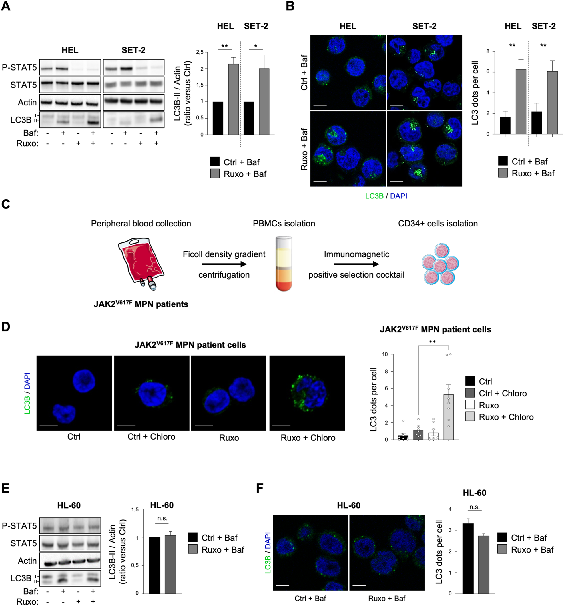 Targeting PP2A-dependent autophagy enhances sensitivity to