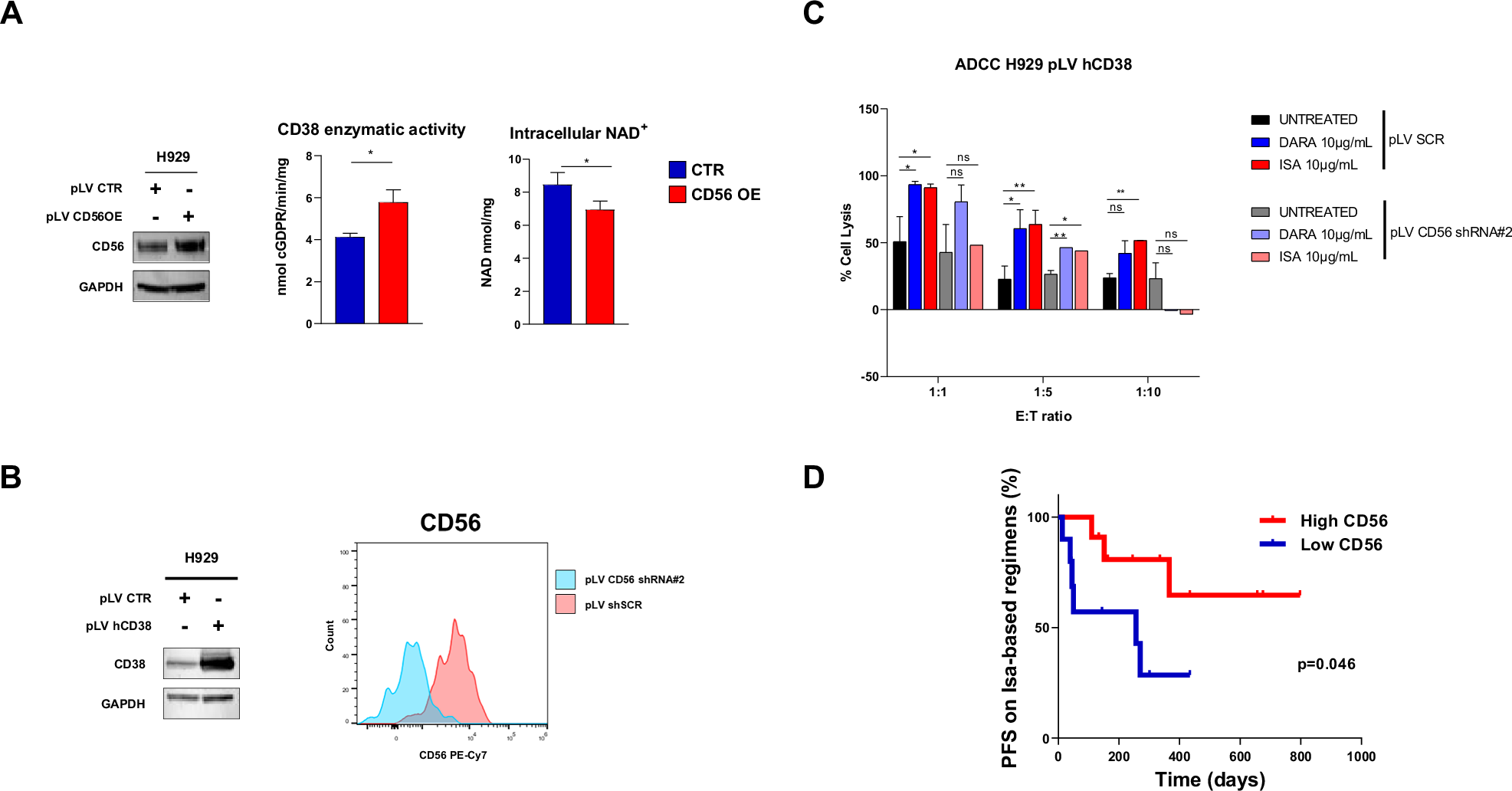 Fig. 3: CD56 modulation in CD38 high-expressing cells modulates ADCC response to anti-CD38 Monoclonal Antibodies.