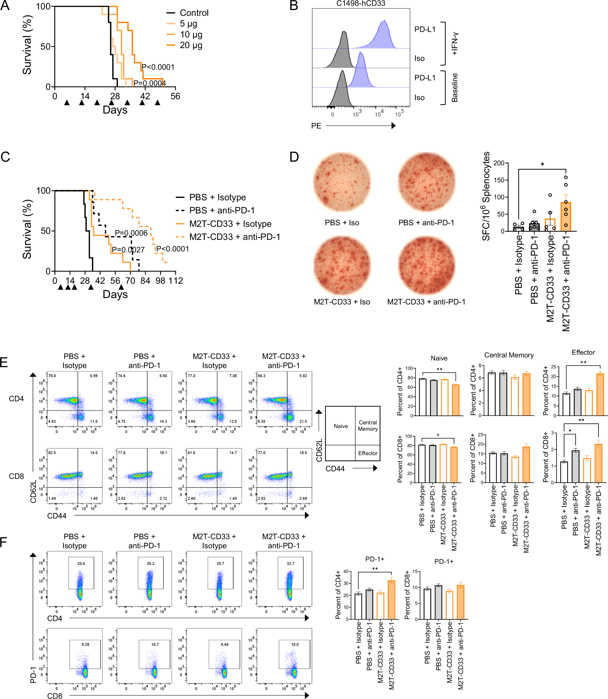 Fig. 7: M2T-CD33 has anti-AML efficacy in an in vivo therapeutic model and in combination with immune checkpoint inhibition.