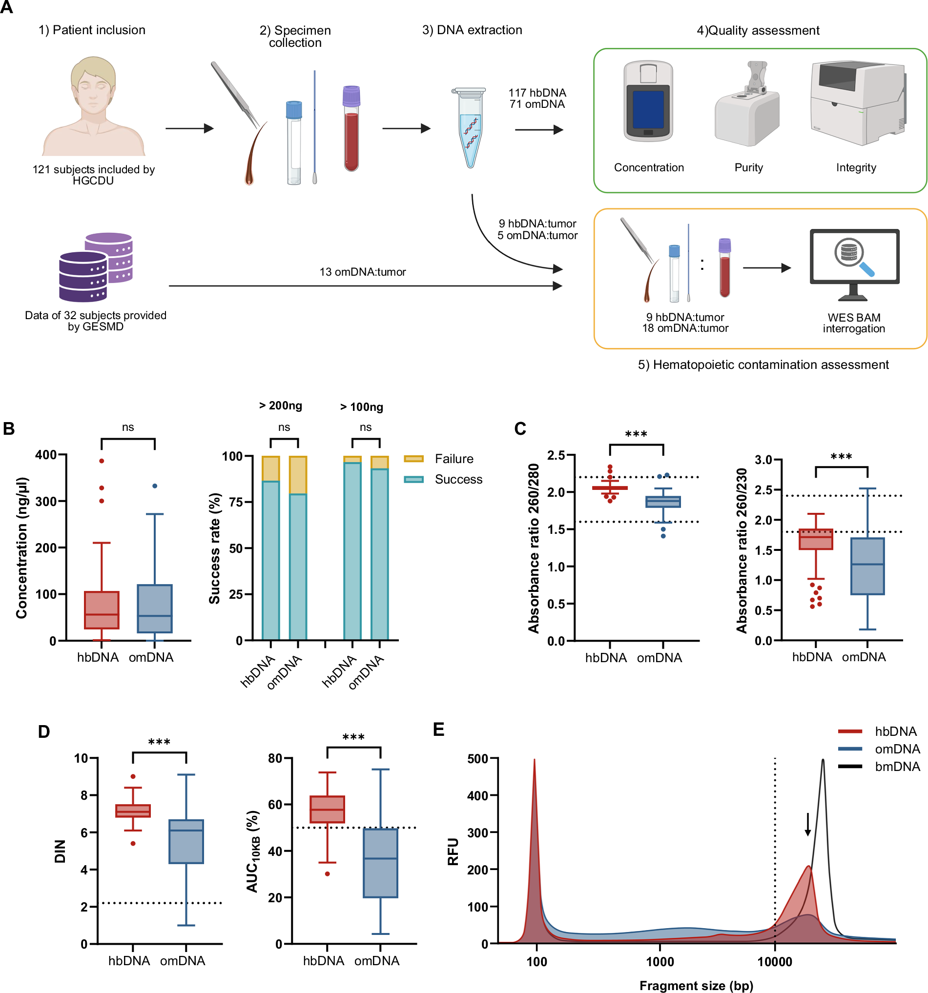 Hair bulb and oral mucosa DNA for prompt germline testing in hematologic neoplasms
